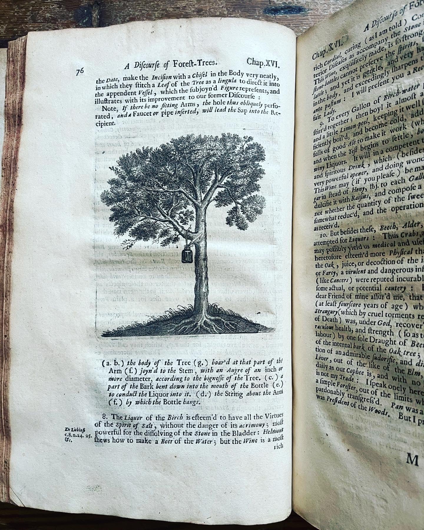 Evelyn Copy - "Sylva, or a discourse of forest trees" & " A Discourse on Cider" - London, 1670 - John Evelyn - Evelyn family copy