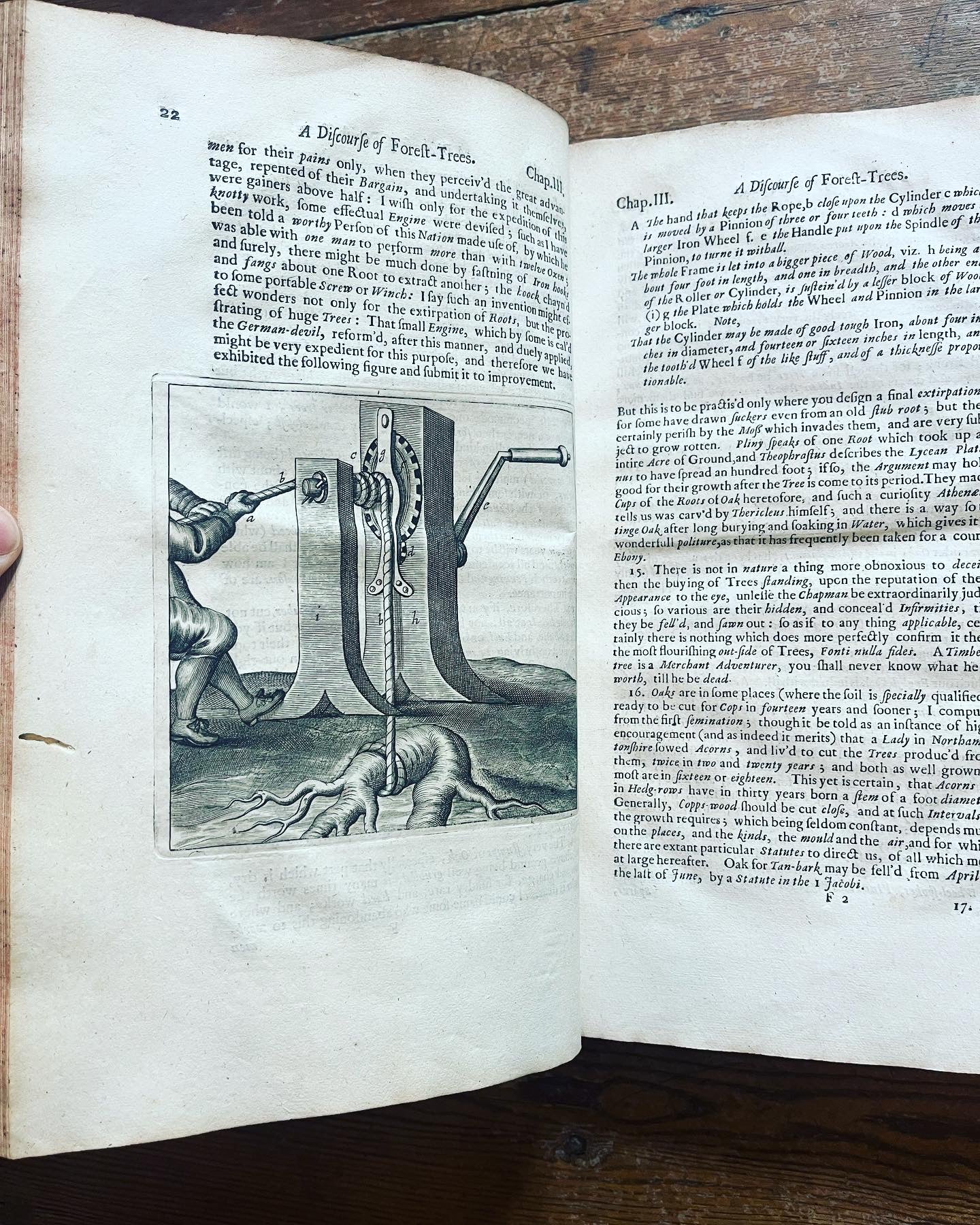 Evelyn Copy - "Sylva, or a discourse of forest trees" & " A Discourse on Cider" - London, 1670 - John Evelyn - Evelyn family copy