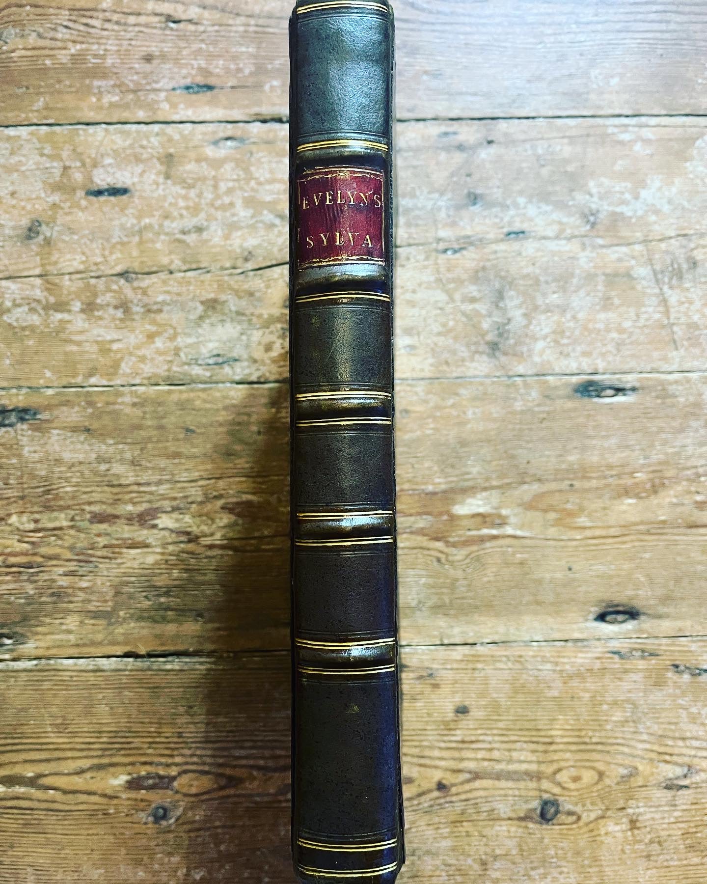 Evelyn Copy - "Sylva, or a discourse of forest trees" & " A Discourse on Cider" - London, 1670 - John Evelyn - Evelyn family copy