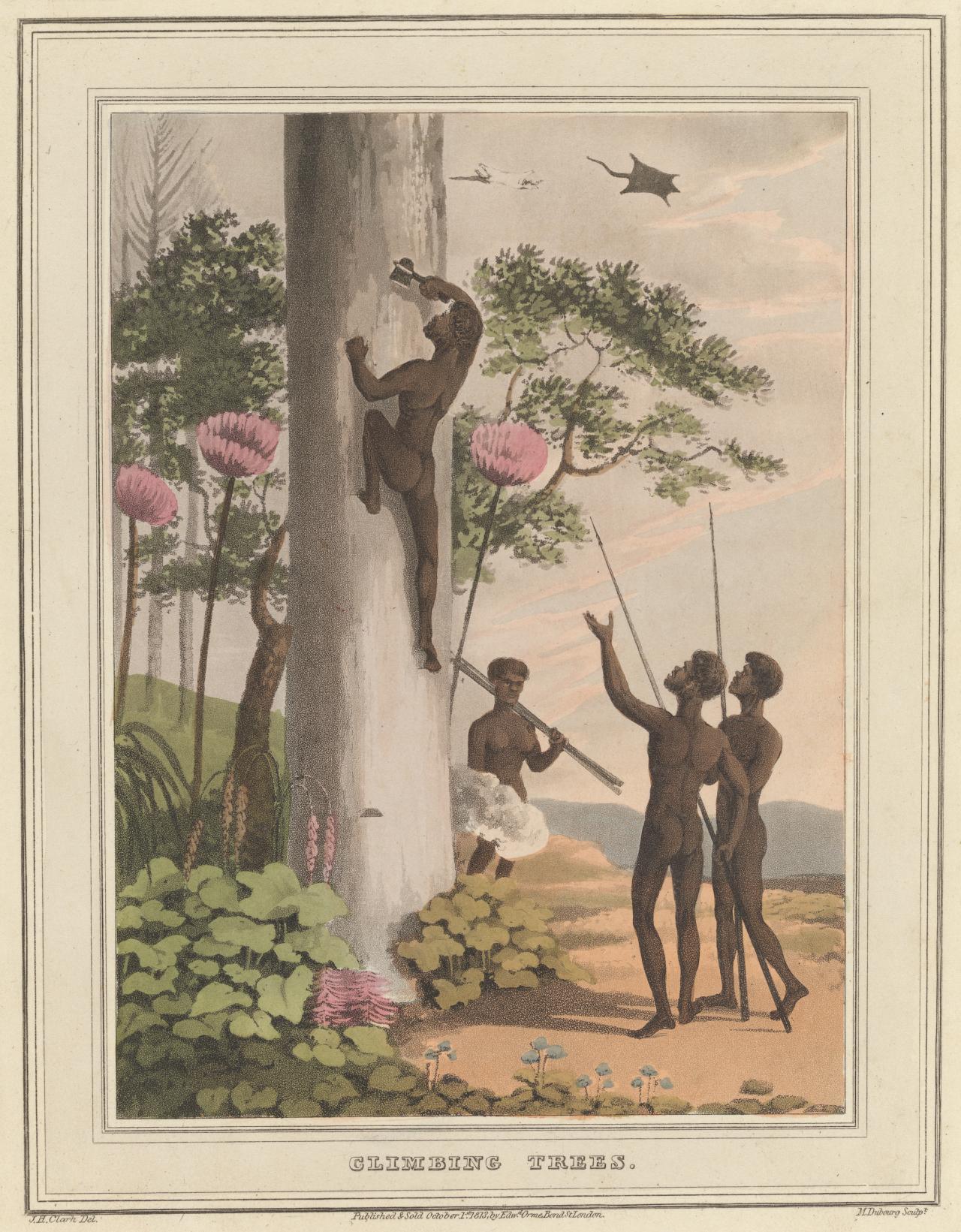"Field Sports of New South Wales" - Bound for Louis Phillippe I - King of France - 1813