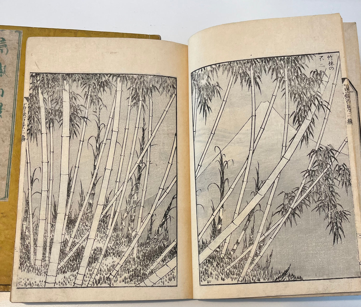 Fugaku Hyakkei (One Hundred Views of Mount Fuji) - Katsushika Hokusai - 1875 Meiji Edition