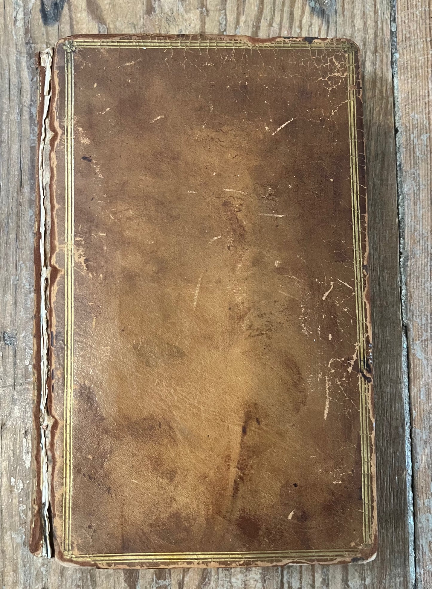 FIRST ILLUSTRATED EDITION - De la signification des notes hieroglyphiques des Aegyptiens - Orus Apollo (Horapollo) - Jacques Kerver - 1543