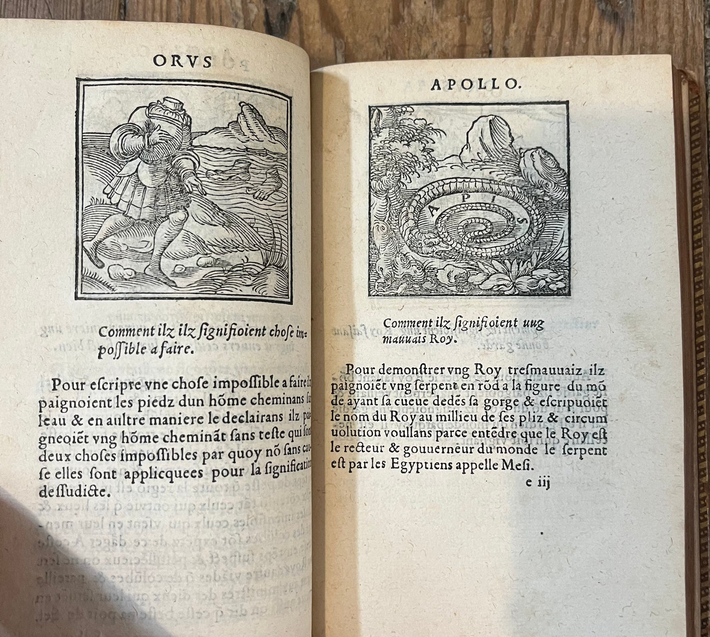 FIRST ILLUSTRATED EDITION - De la signification des notes hieroglyphiques des Aegyptiens - Orus Apollo (Horapollo) - Jacques Kerver - 1543