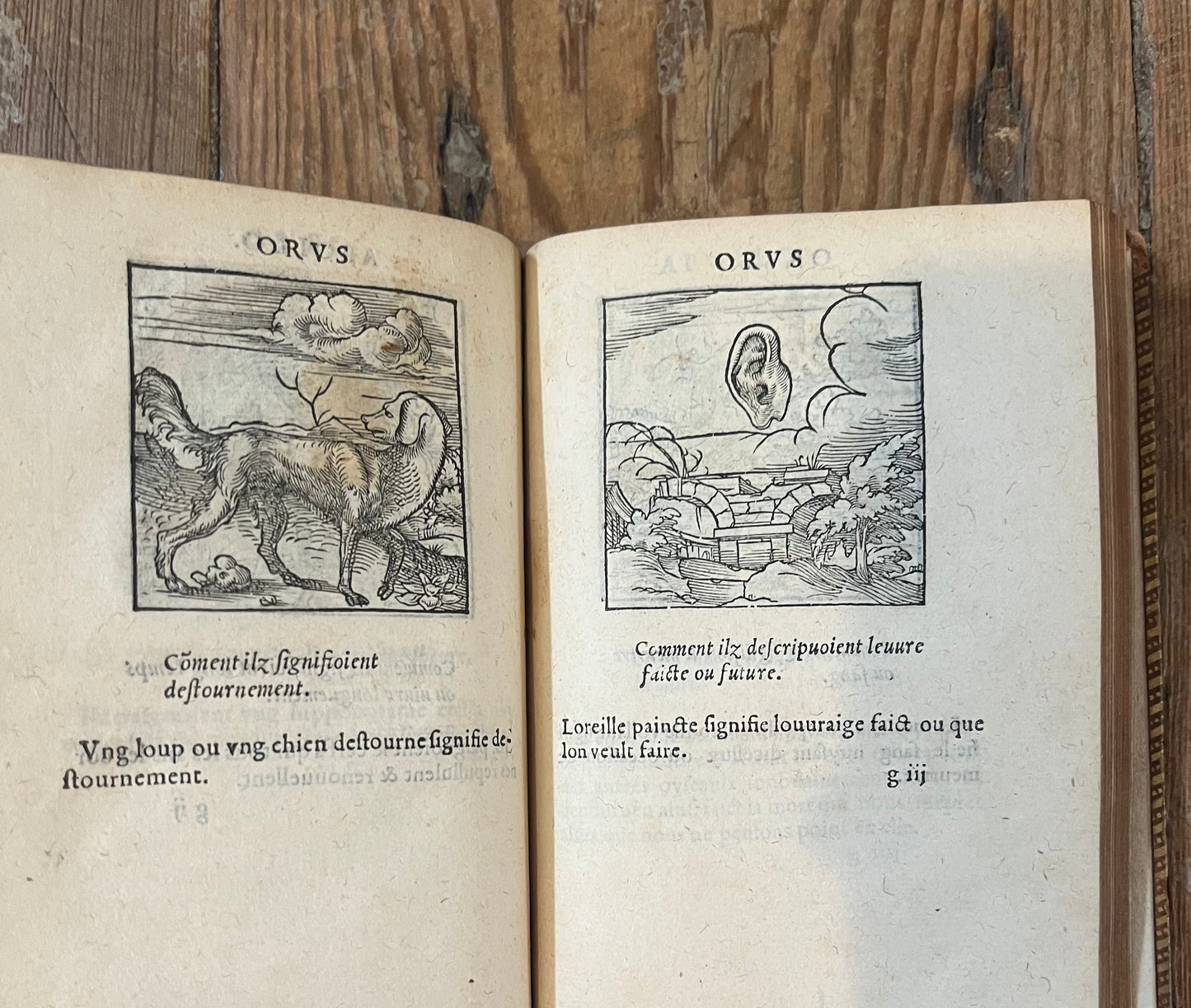 FIRST ILLUSTRATED EDITION - De la signification des notes hieroglyphiques des Aegyptiens - Orus Apollo (Horapollo) - Jacques Kerver - 1543