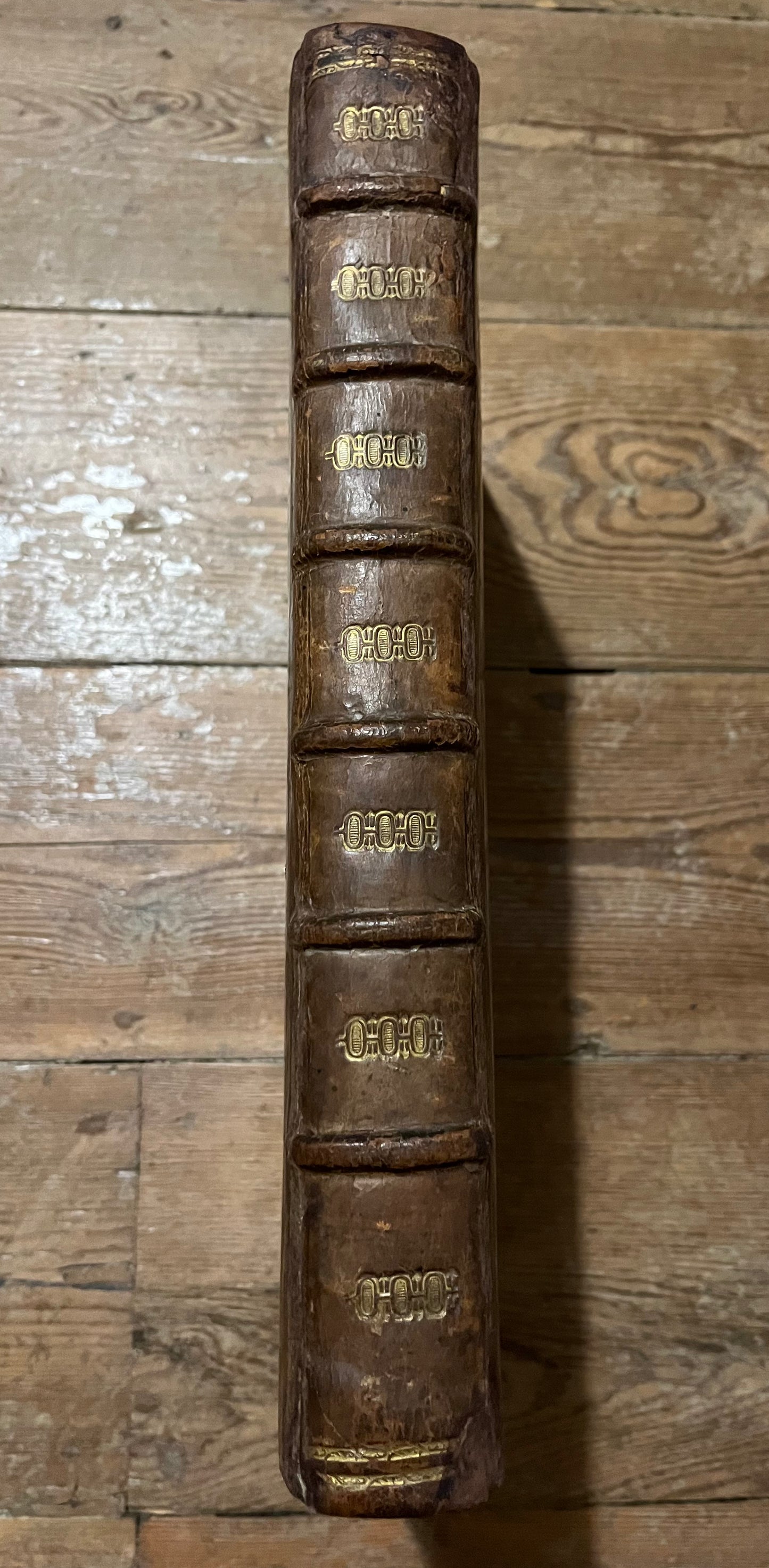 De Bry Grands Voyages Part 9 - “Americae nona & Postrema Pars” - 1602 - Acosta, De Weert, Van Noort