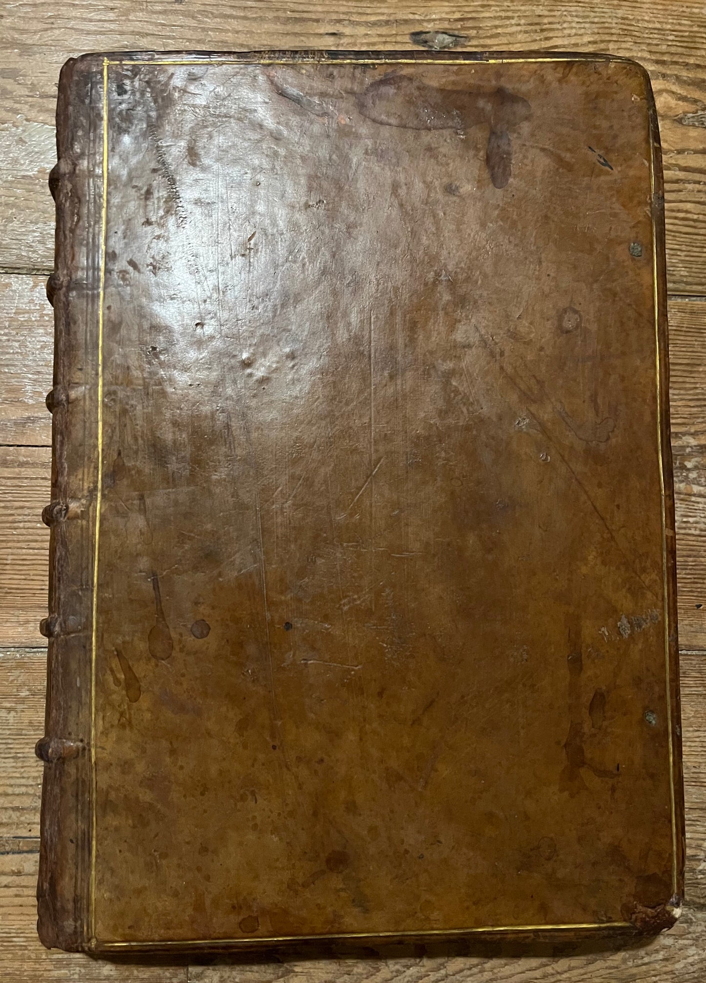 De Bry Grands Voyages Part 9 - “Americae nona & Postrema Pars” - 1602 - Acosta, De Weert, Van Noort