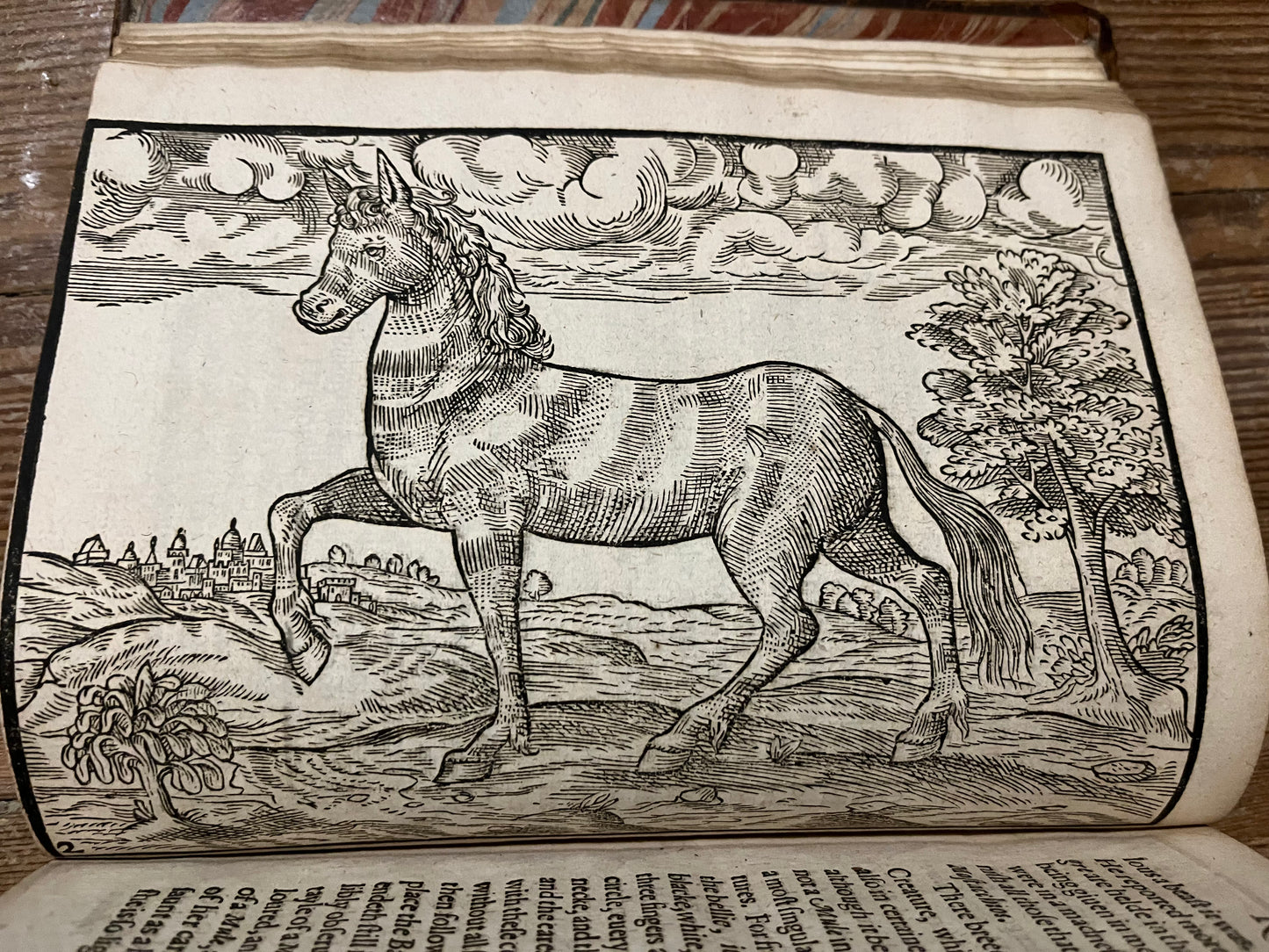 "A report of the kingdome of Congo, a region of Africa And of the countries that border rounde about the same" - 1597 - John Wolfe