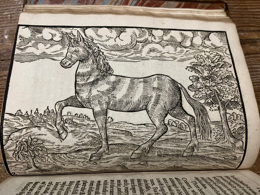 "A report of the kingdome of Congo, a region of Africa And of the countries that border rounde about the same" - 1597 - John Wolfe