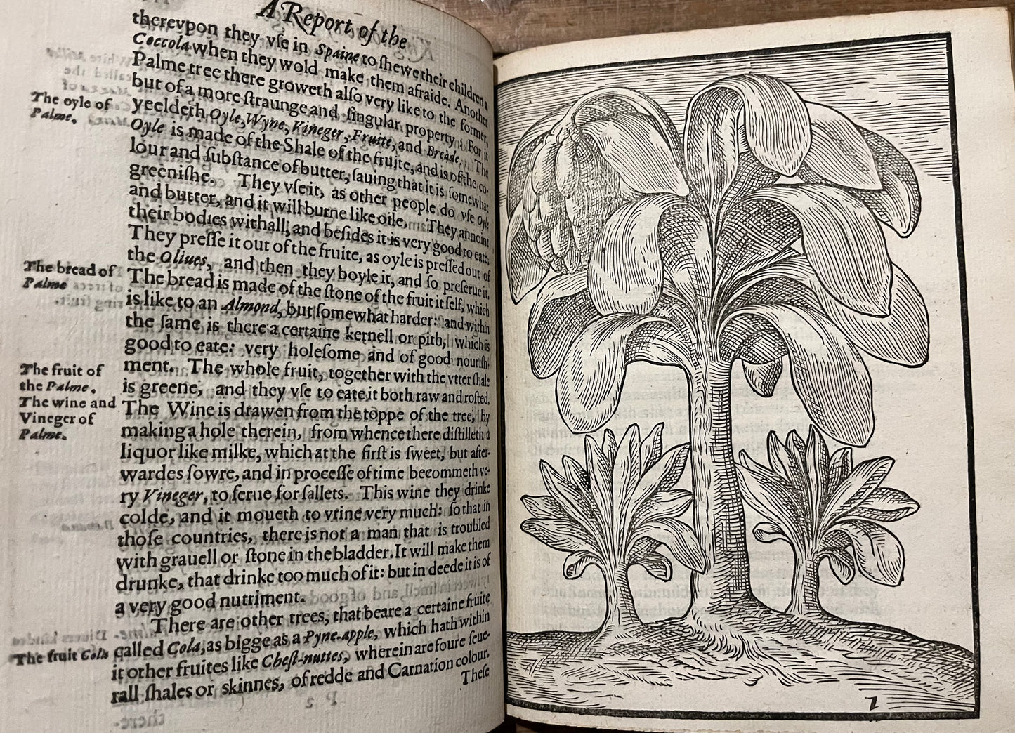 "A report of the kingdome of Congo, a region of Africa And of the countries that border rounde about the same" - 1597 - John Wolfe