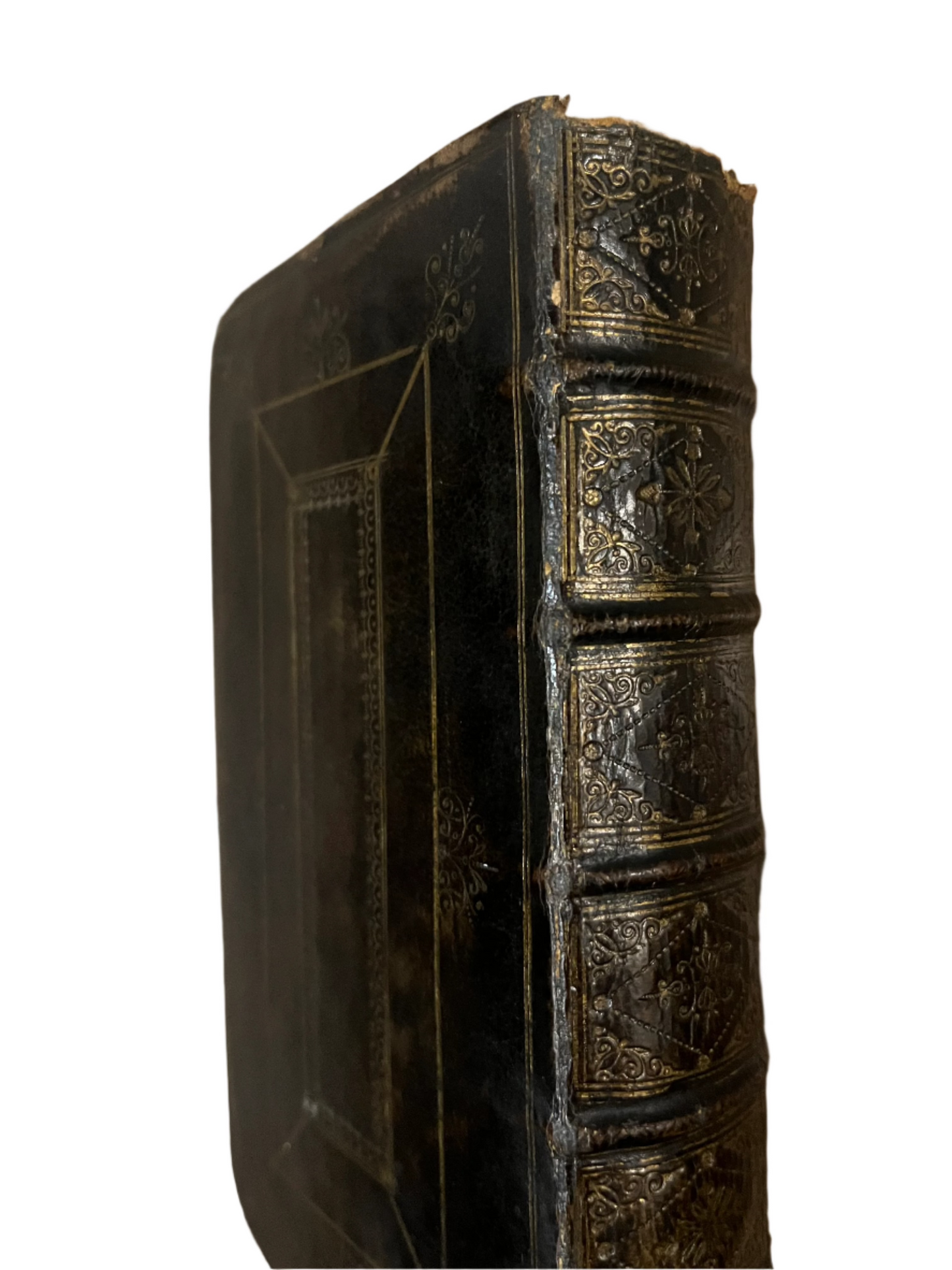Liturgia seu Liber - 1706 - Book of Common Prayer in Latin - Binding