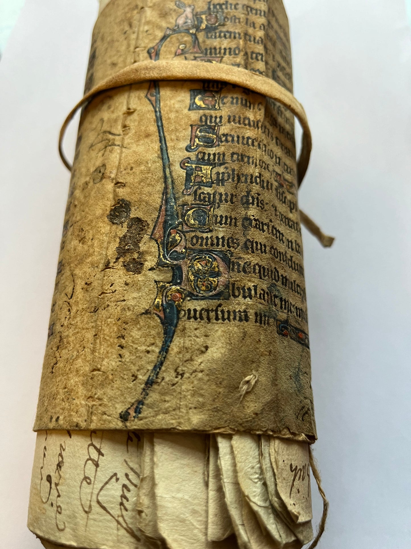 13th Century Psalter leaf with Rabbit - reused to hold nunnery records