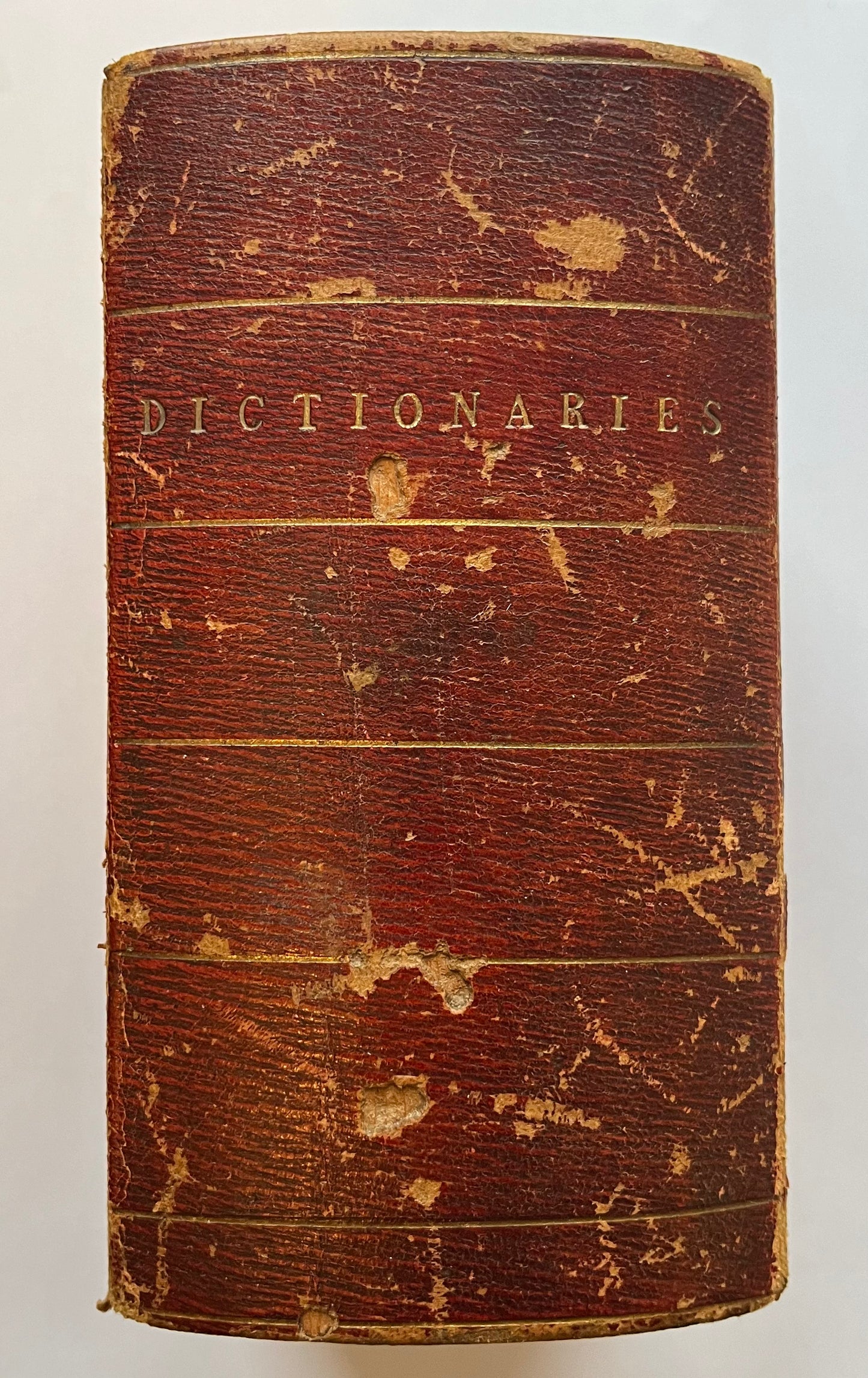 "A Traveller's Set of Books on Language and Geography from a Famous Family of 19th Century Women Travellers - The Stanhopes"