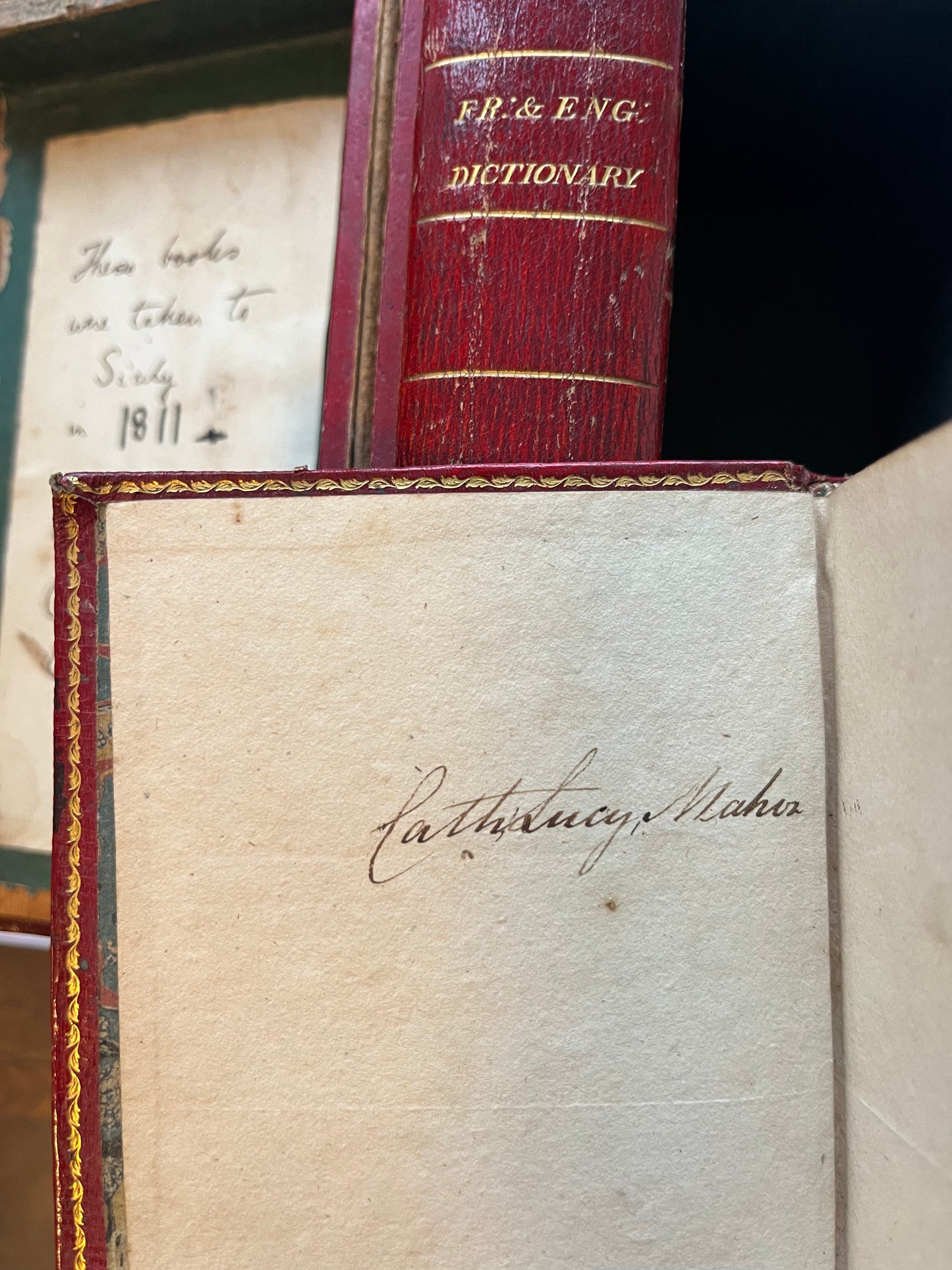 "A Traveller's Set of Books on Language and Geography from a Famous Family of 19th Century Women Travellers - The Stanhopes"