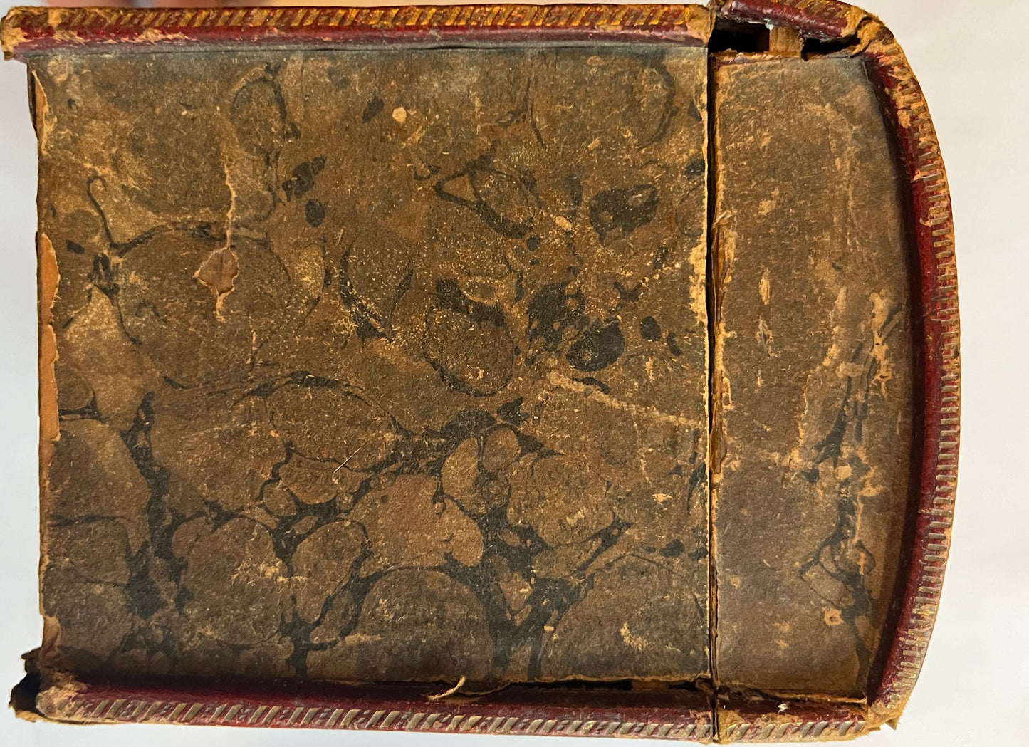 "A Traveller's Set of Books on Language and Geography from a Famous Family of 19th Century Women Travellers - The Stanhopes"