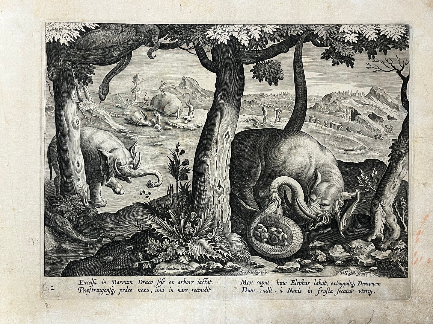 Stradanus/Galle - "Venationes ferarum, avium, piscium" - album of 51 prints - c1600
