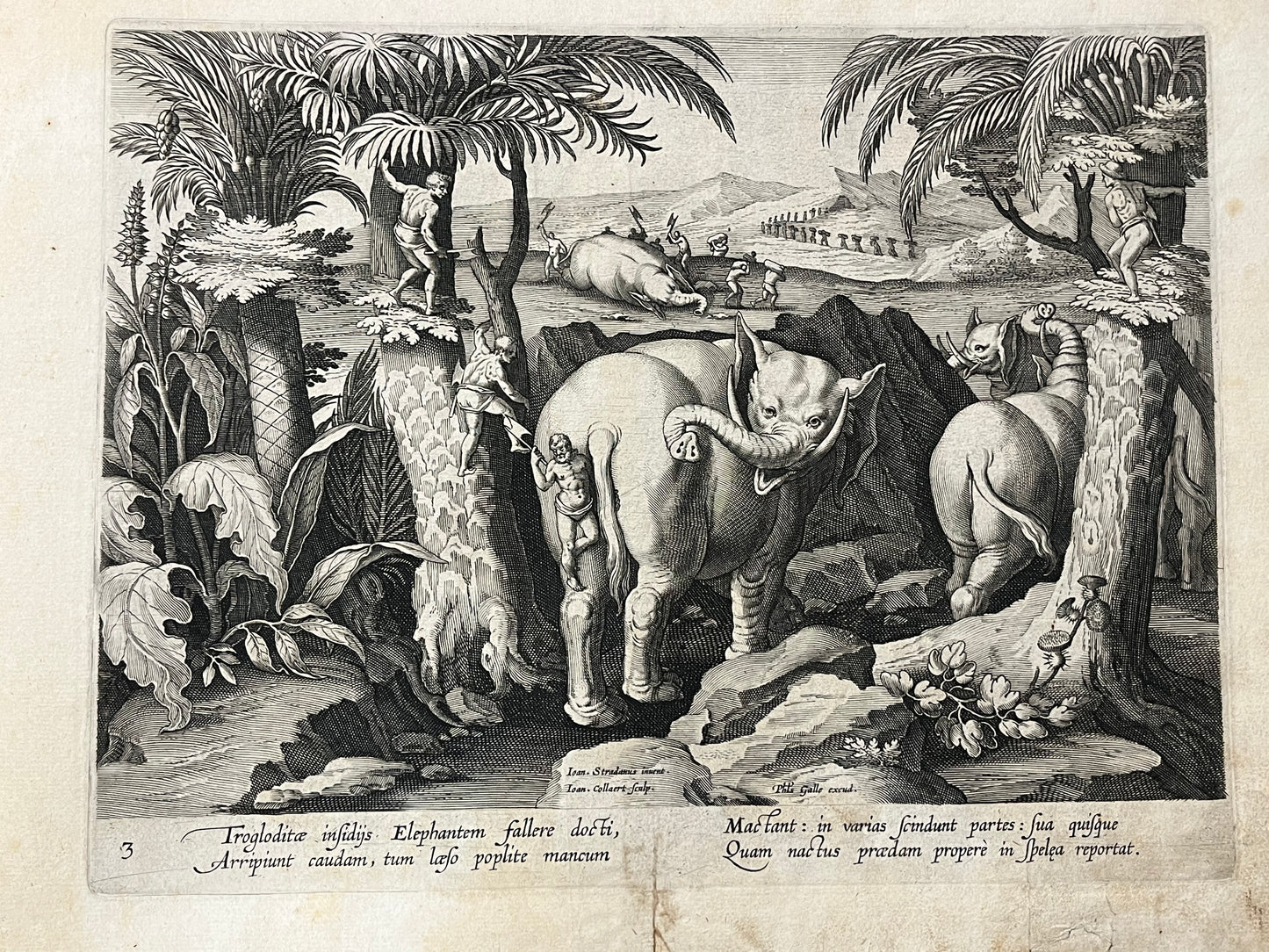 Stradanus/Galle - "Venationes ferarum, avium, piscium" - album of 51 prints - c1600