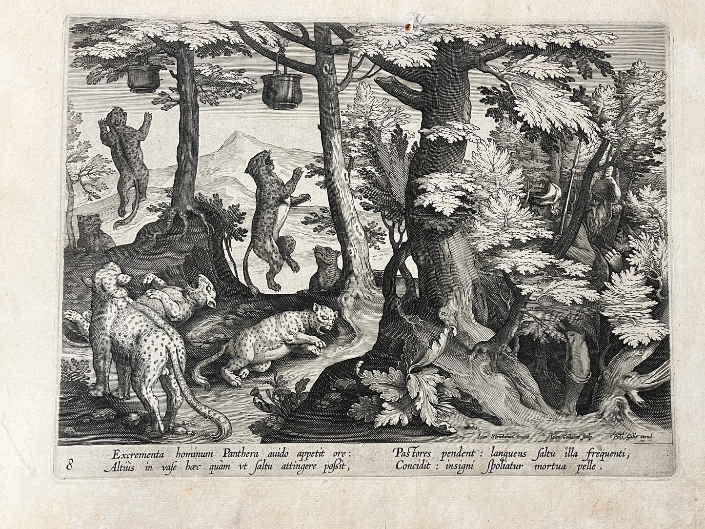 Stradanus/Galle - "Venationes ferarum, avium, piscium" - album of 51 prints - c1600