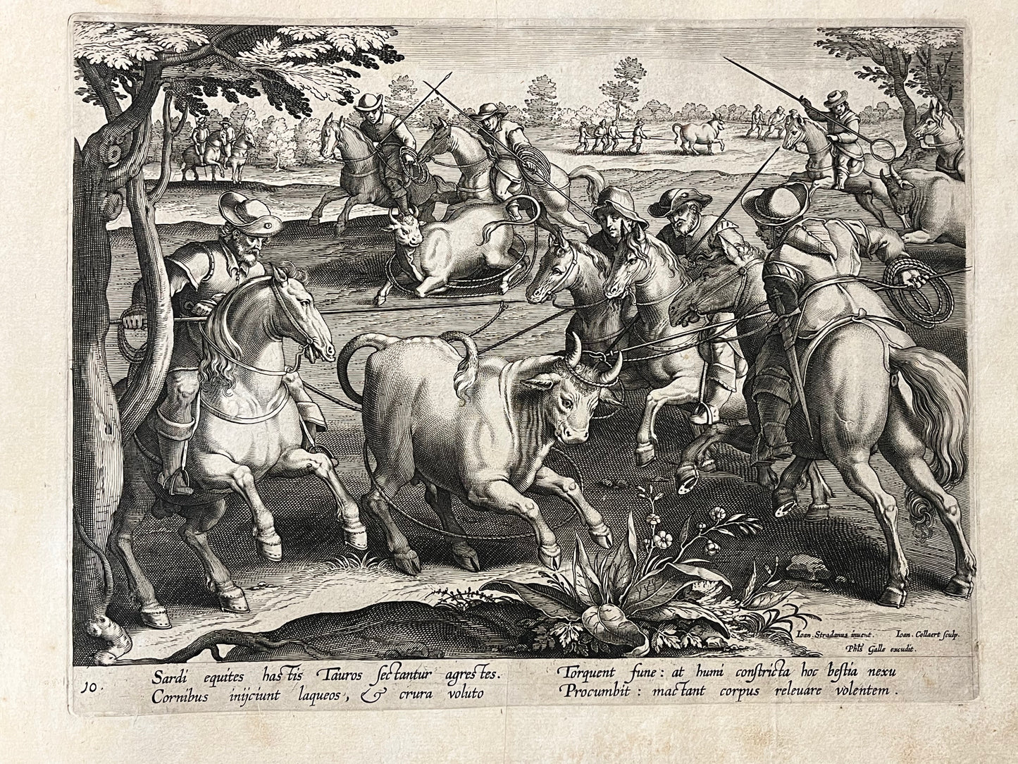 Stradanus/Galle - "Venationes ferarum, avium, piscium" - album of 51 prints - c1600