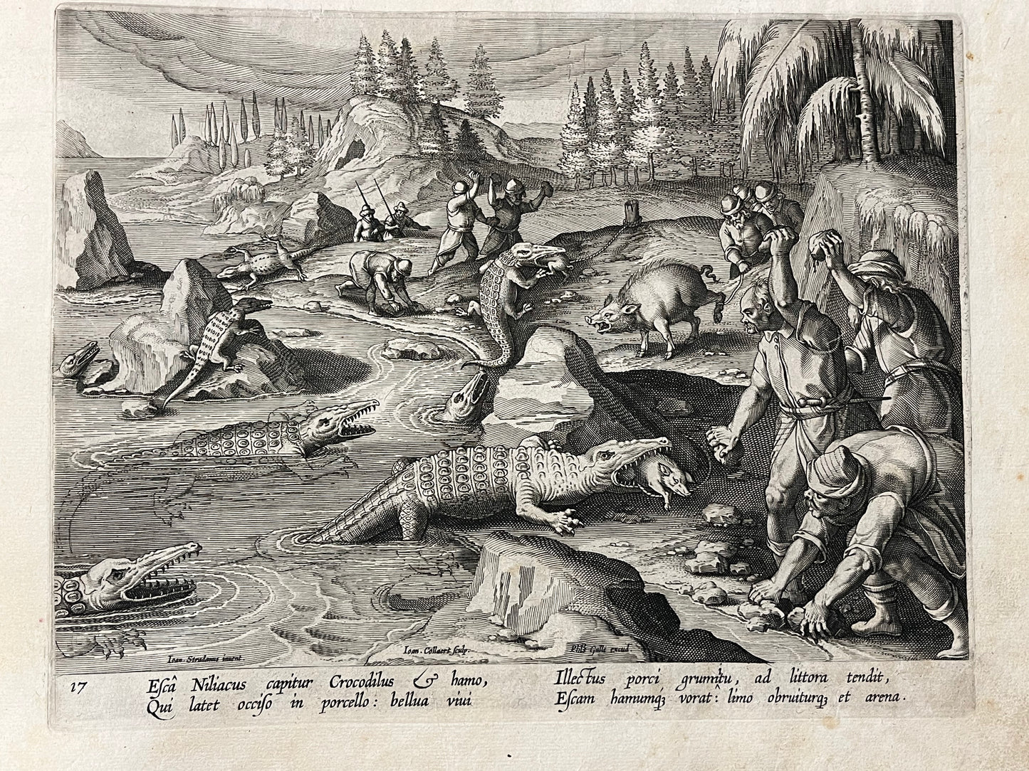 Stradanus/Galle - "Venationes ferarum, avium, piscium" - album of 51 prints - c1600