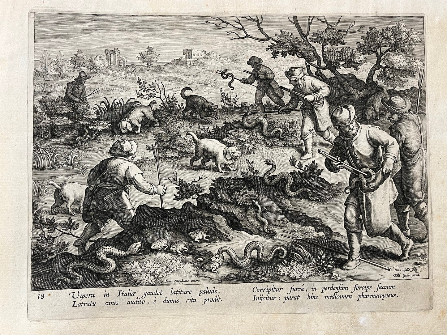 Stradanus/Galle - "Venationes ferarum, avium, piscium" - album of 51 prints - c1600