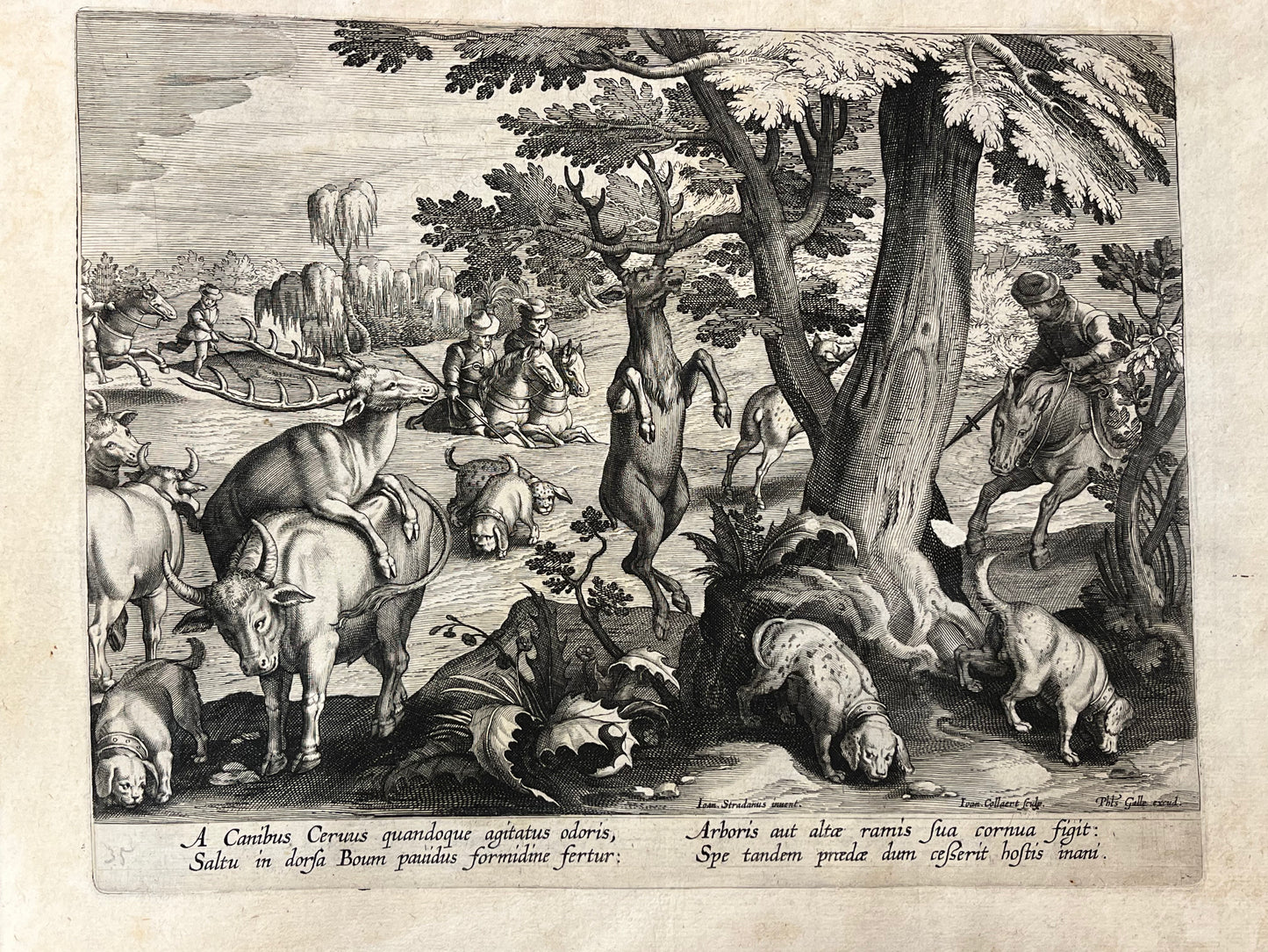 Stradanus/Galle - "Venationes ferarum, avium, piscium" - album of 51 prints - c1600
