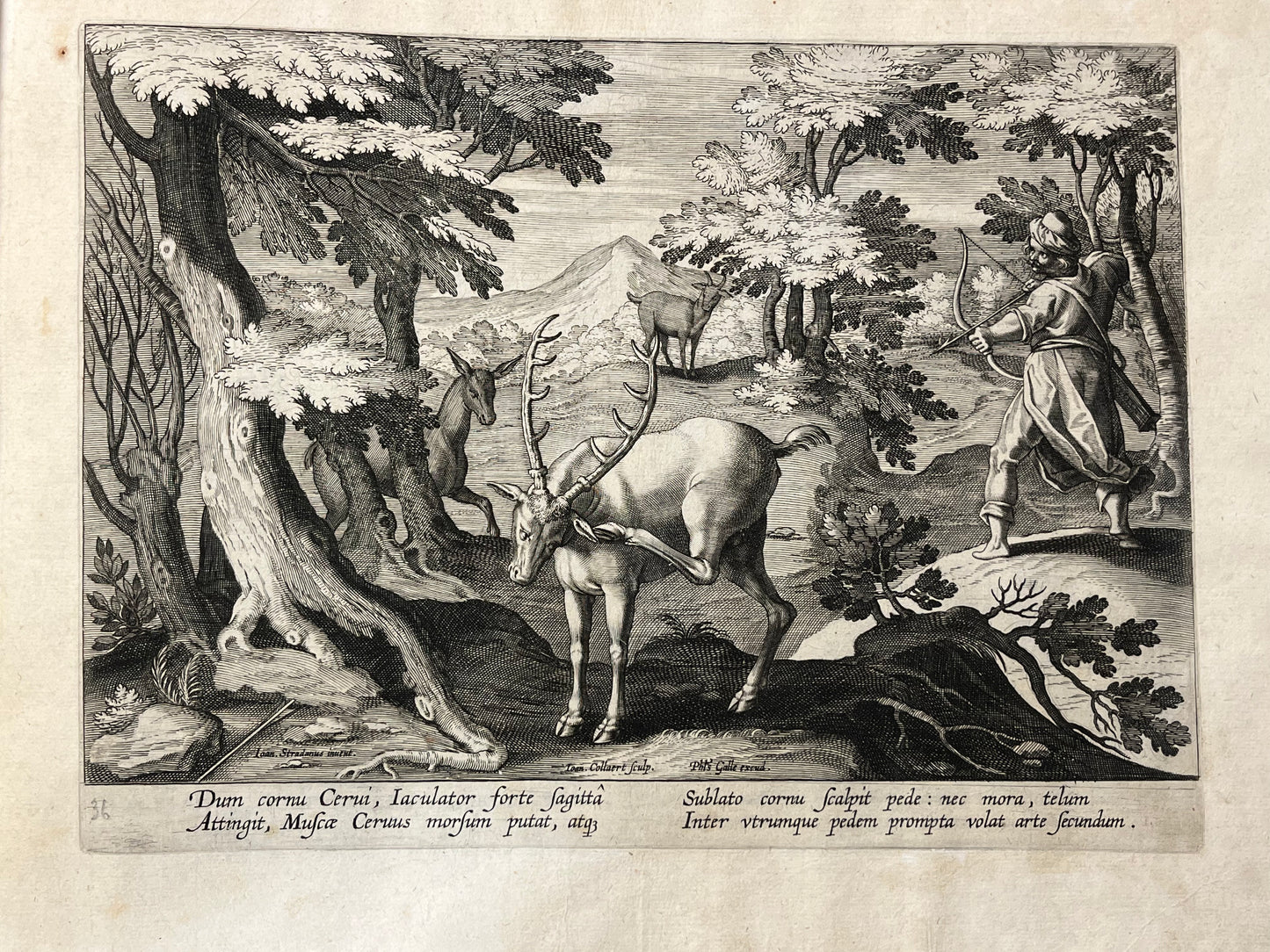 Stradanus/Galle - "Venationes ferarum, avium, piscium" - album of 51 prints - c1600