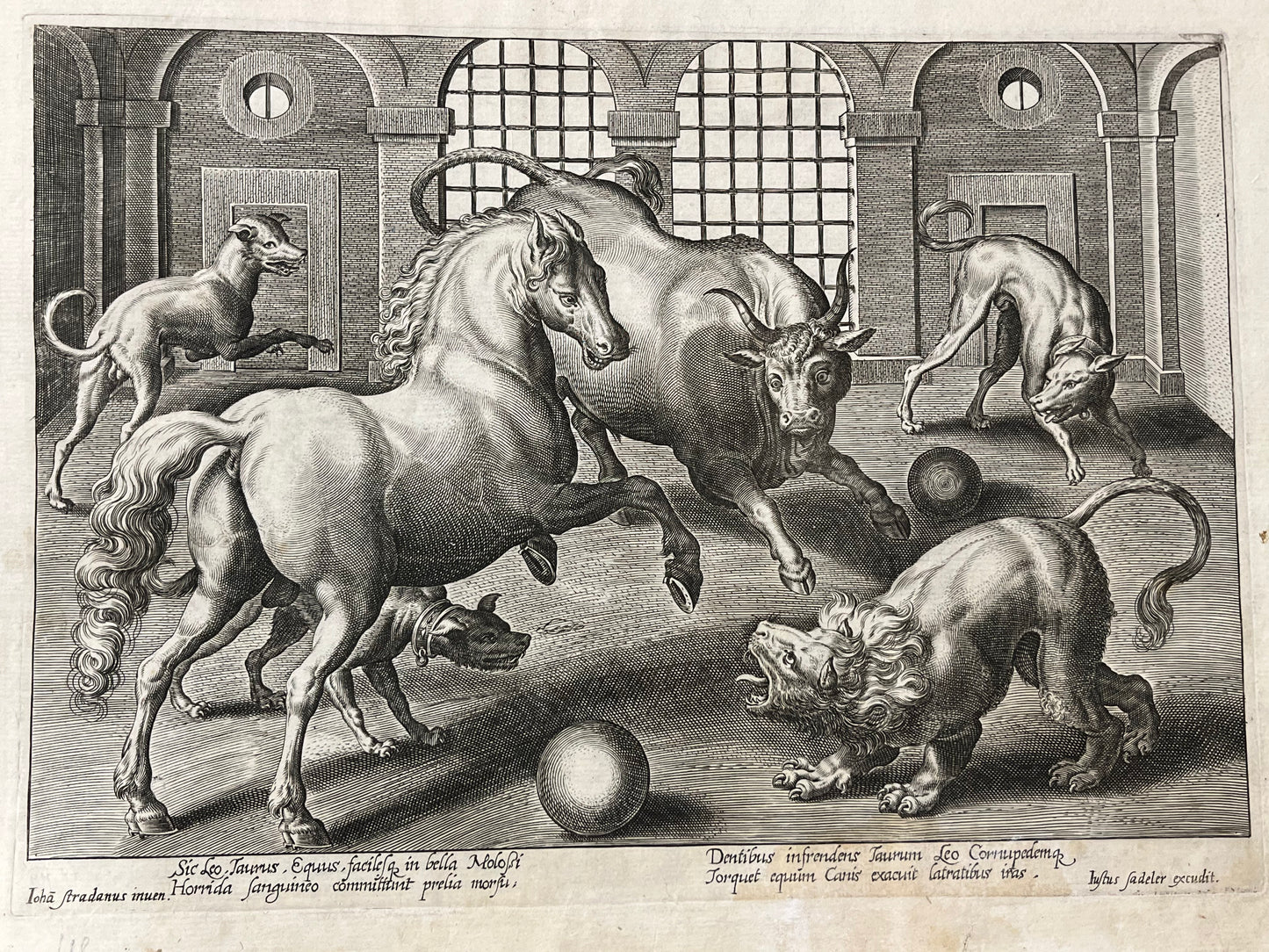 Stradanus/Galle - "Venationes ferarum, avium, piscium" - album of 51 prints - c1600