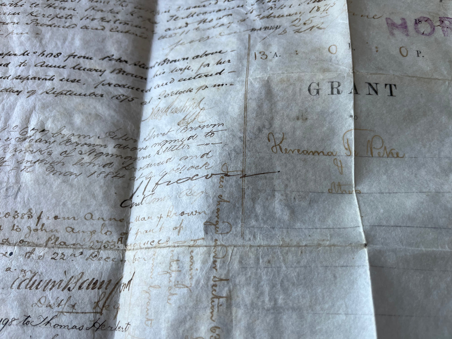 1872 Māori Native Land Grant Ownership - Kereama te Peke, Paratene Te Manu - Ngunguru / Whangerei / New Zealand