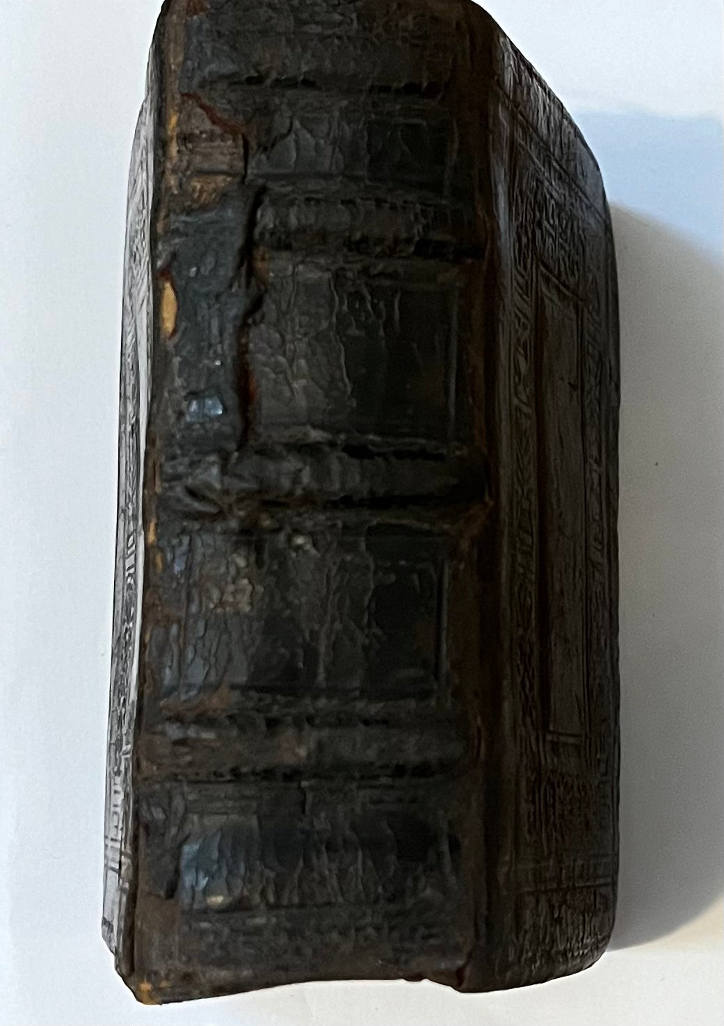 A Catholic Voice in Marian Oxford: Hoffmeister’s Loci Communes (1552) in an early Contemporary Oxford Binding (Gibson Roll 20)