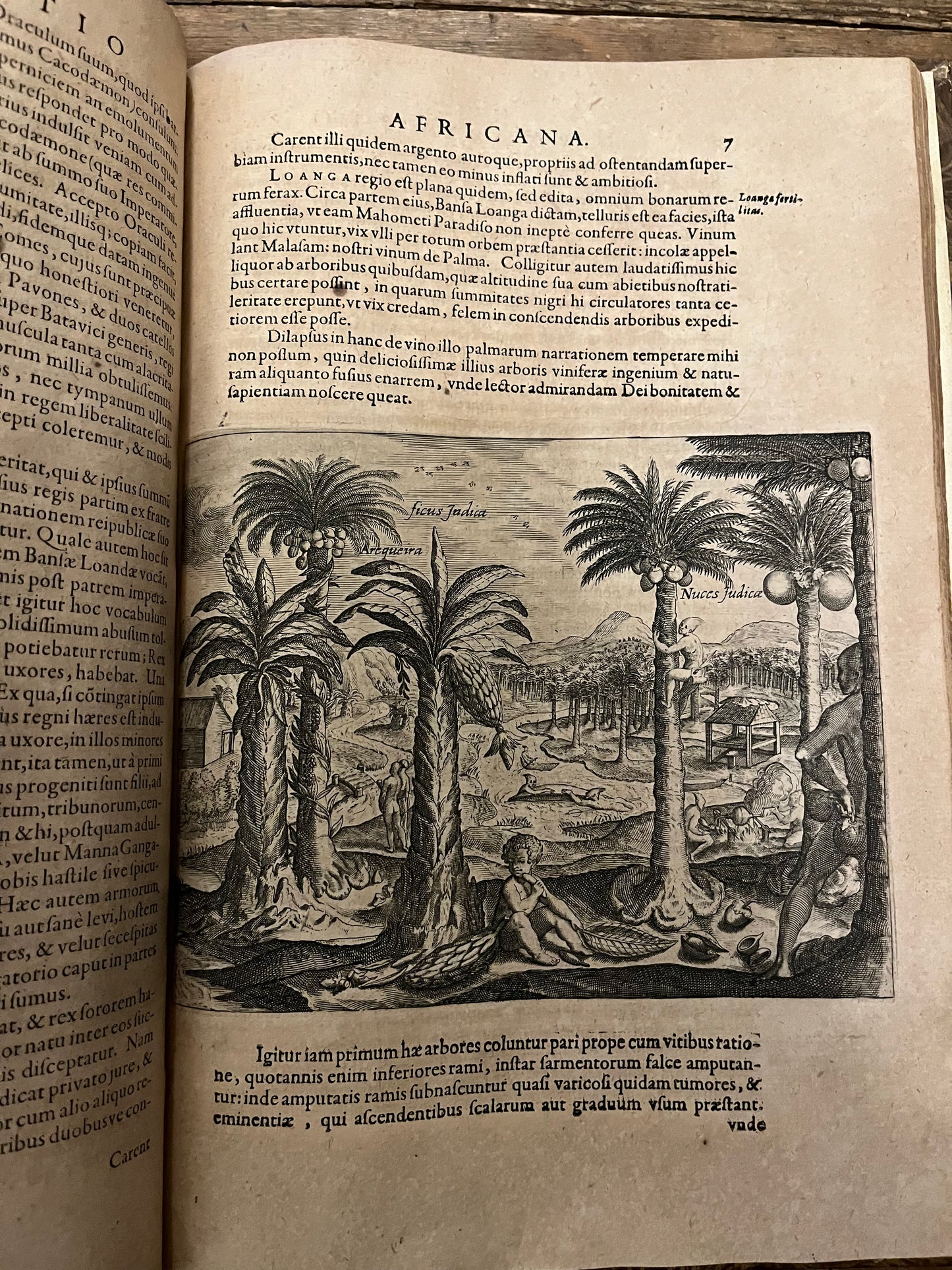 Rare "Appendix Congo" AND "Regnum Congo" 1598 and 1625 with large maps - Complete 1st editions