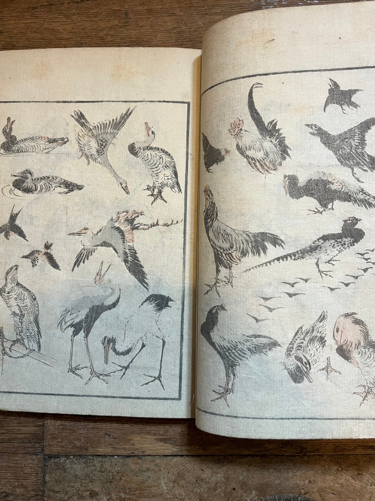 Hokusai Manga 1st edition - 4 Volumes (4,12,13,14) - Nagoya by Eirakuya Tôshirô