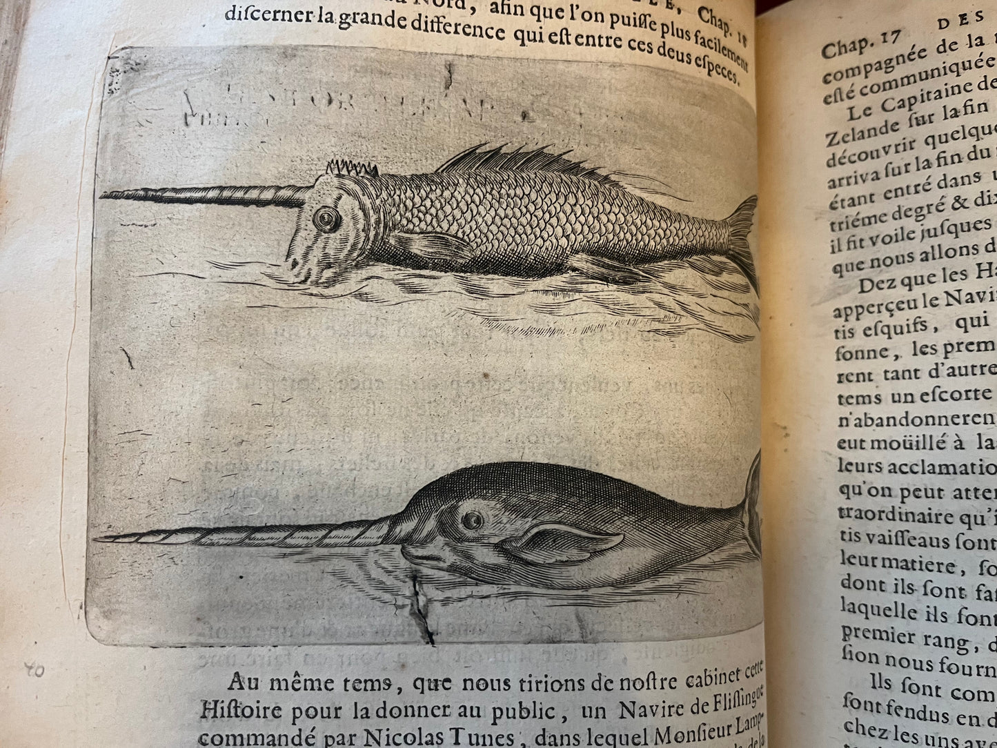 L’Histoire Naturelle et Morale Des Iles Antilles D’Amerique - 1717