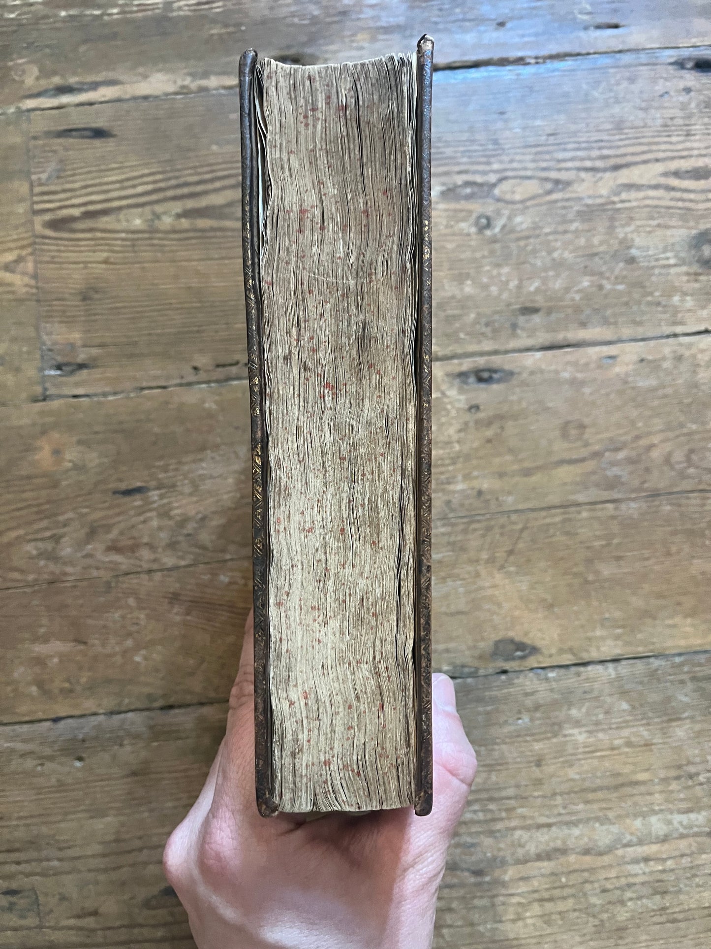 L’Histoire Naturelle et Morale Des Iles Antilles D’Amerique - 1717