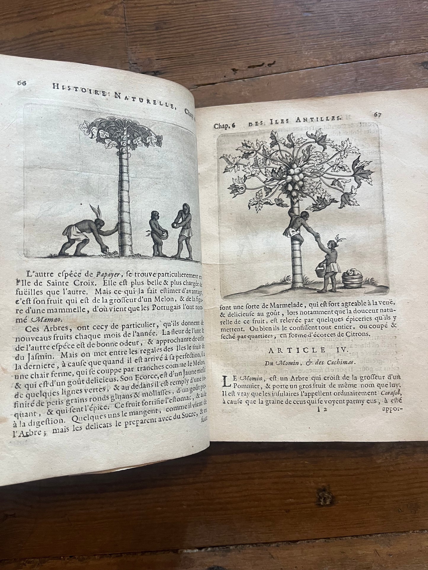 L’Histoire Naturelle et Morale Des Iles Antilles D’Amerique - 1717