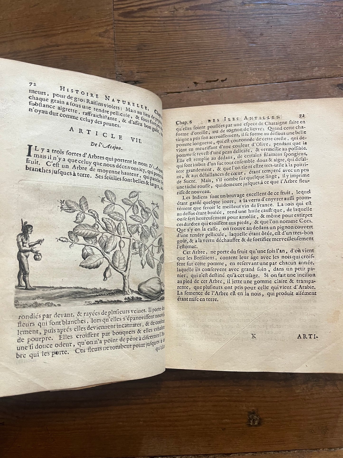 L’Histoire Naturelle et Morale Des Iles Antilles D’Amerique - 1717