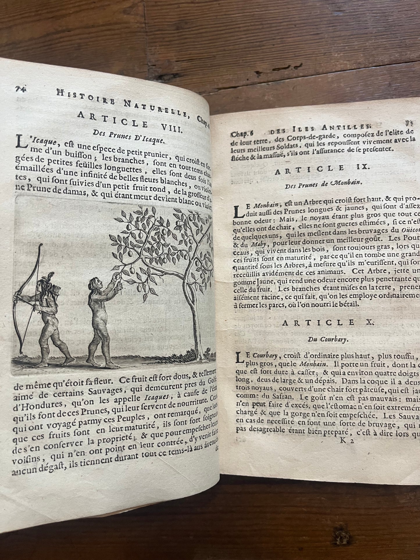 L’Histoire Naturelle et Morale Des Iles Antilles D’Amerique - 1717