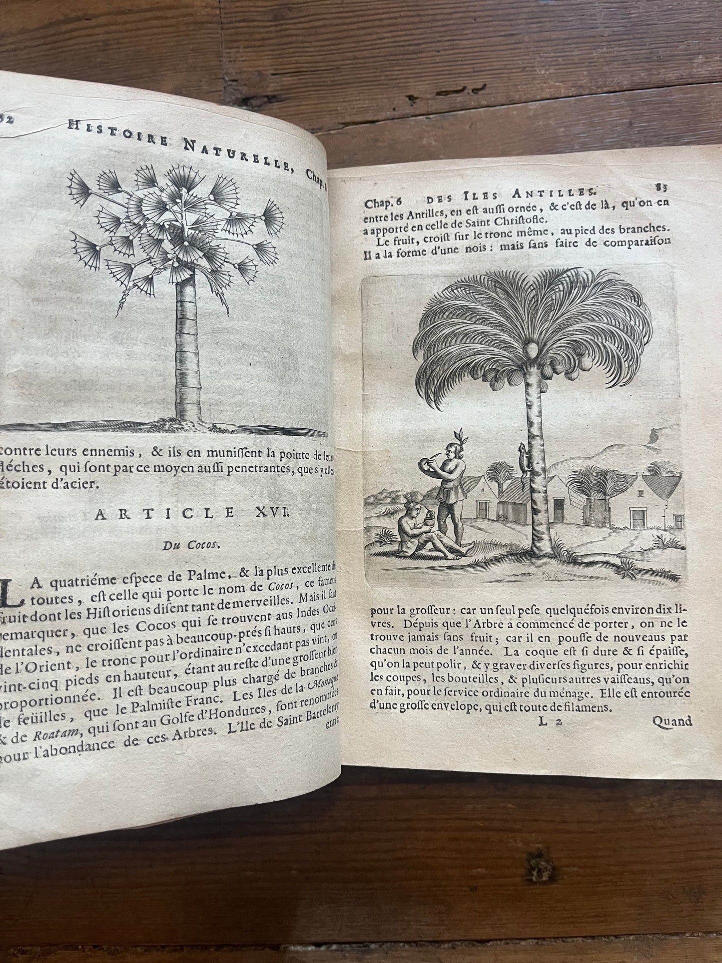 L’Histoire Naturelle et Morale Des Iles Antilles D’Amerique - 1717