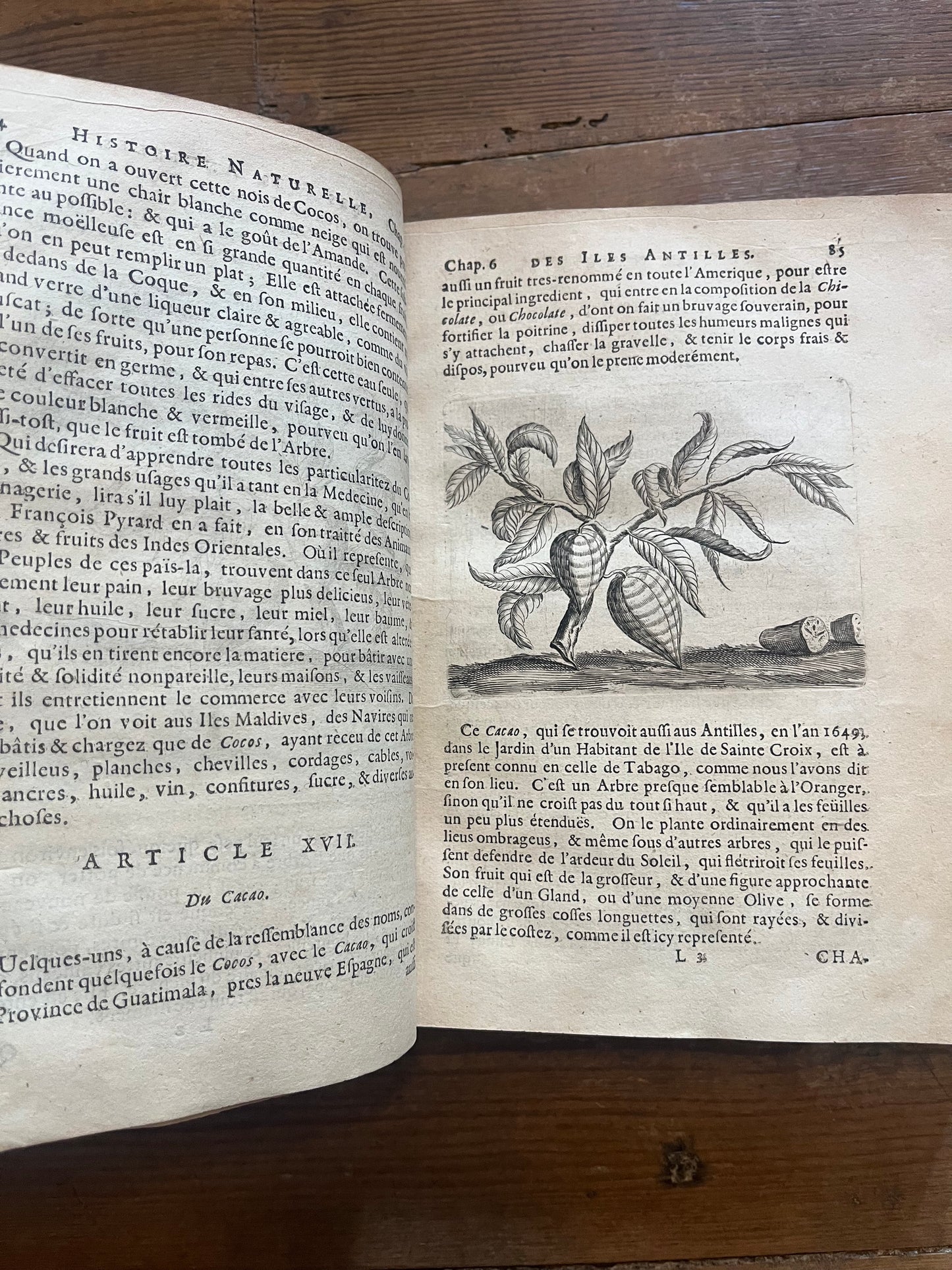 L’Histoire Naturelle et Morale Des Iles Antilles D’Amerique - 1717