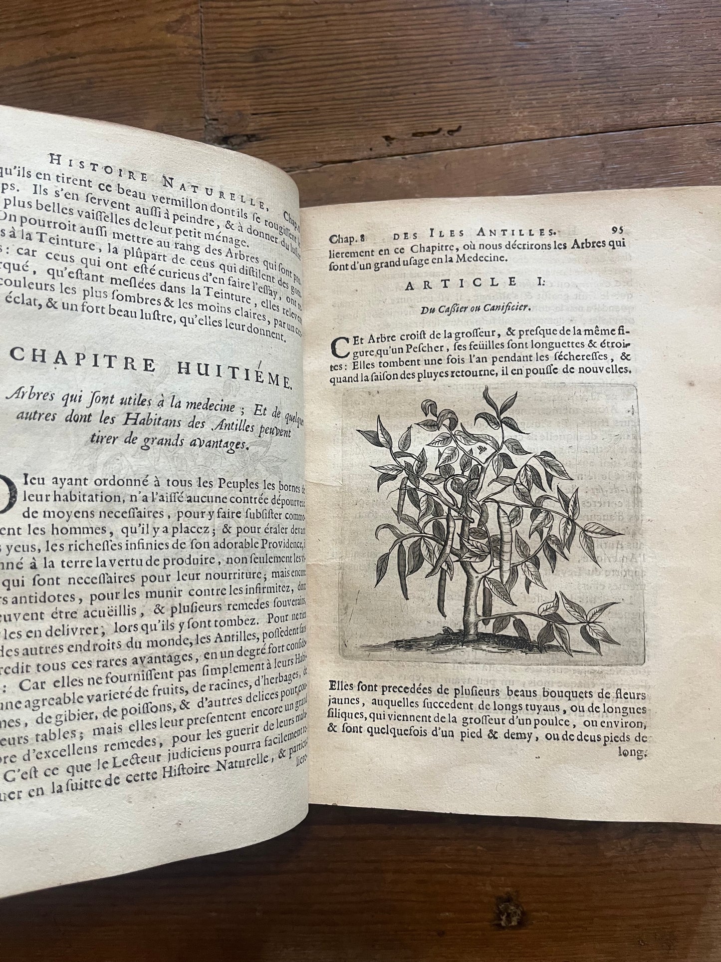 L’Histoire Naturelle et Morale Des Iles Antilles D’Amerique - 1717