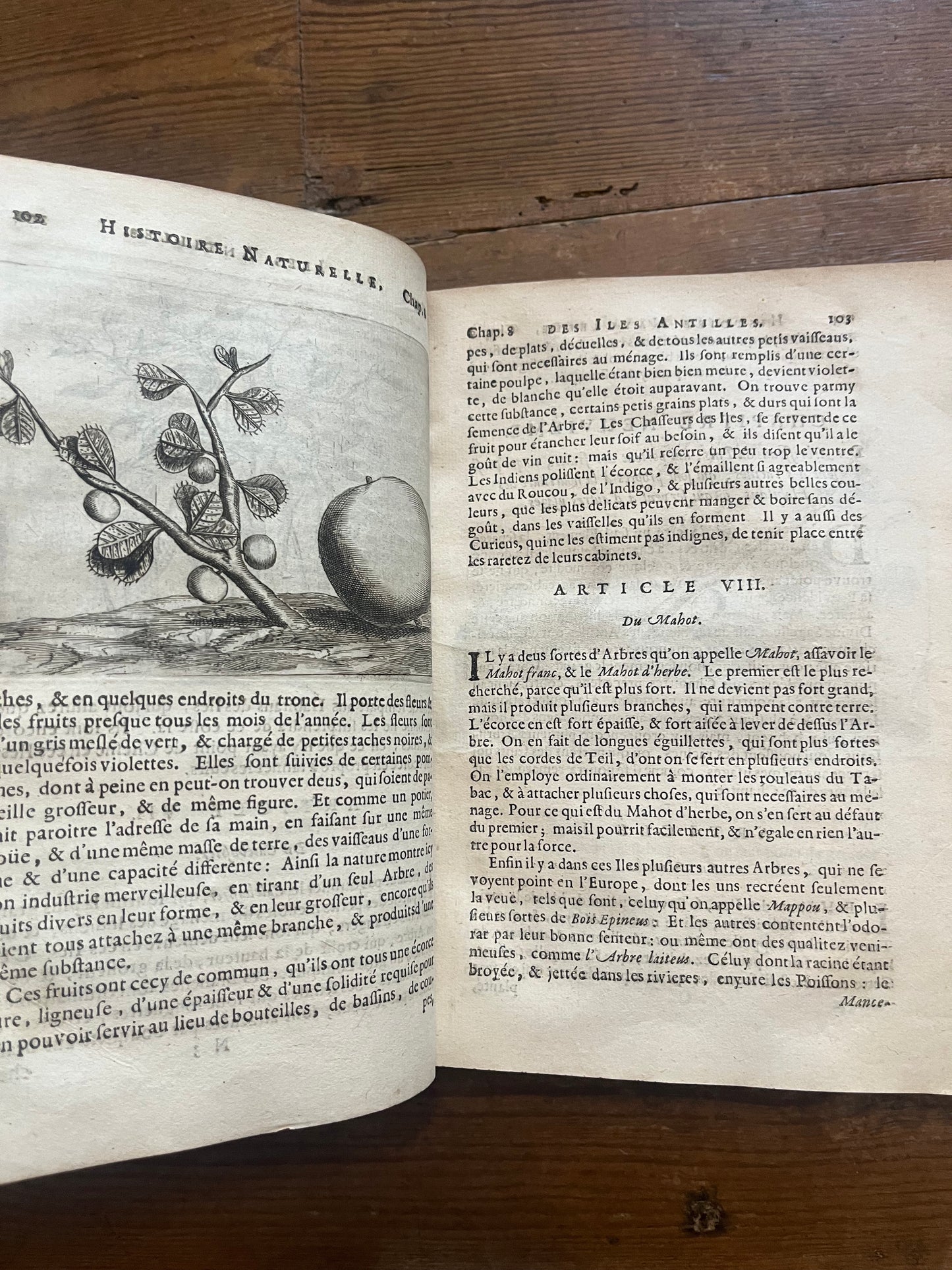 L’Histoire Naturelle et Morale Des Iles Antilles D’Amerique - 1717