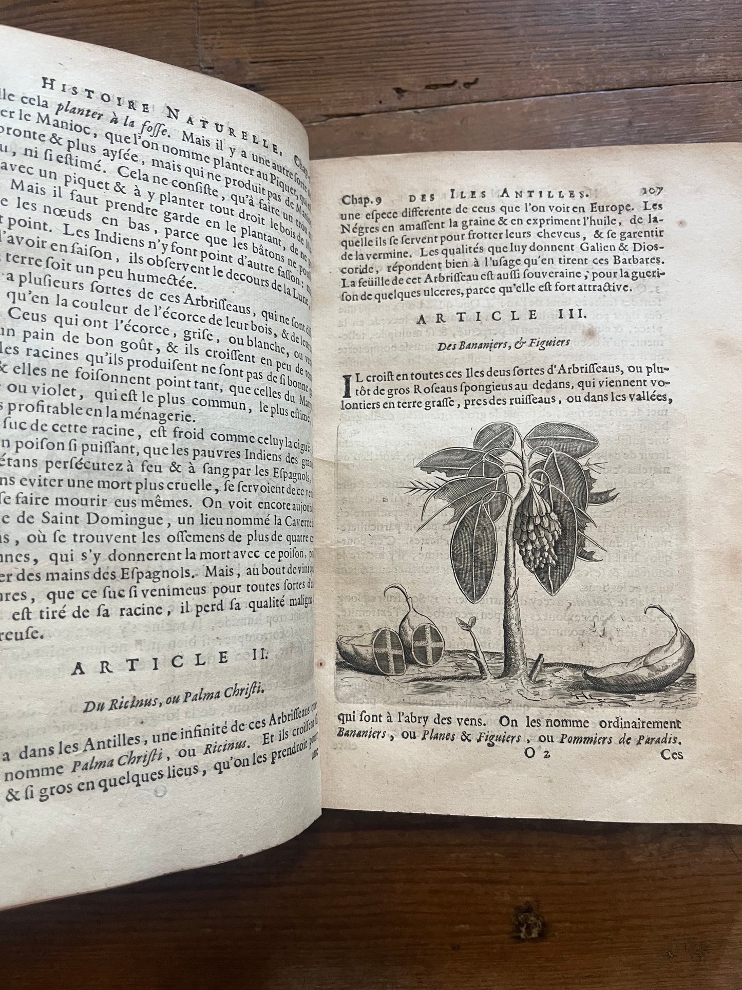 L’Histoire Naturelle et Morale Des Iles Antilles D’Amerique - 1717