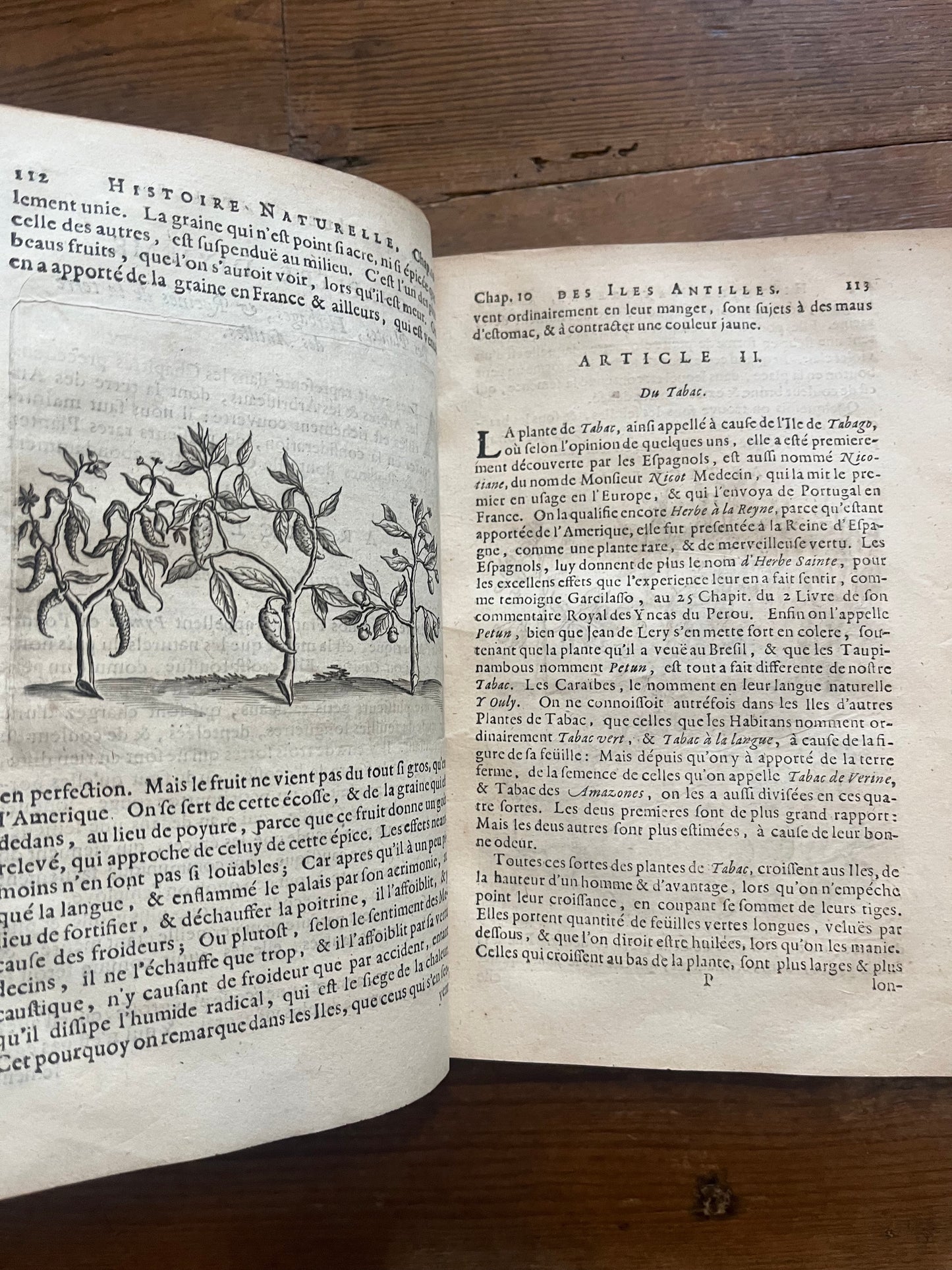 L’Histoire Naturelle et Morale Des Iles Antilles D’Amerique - 1717
