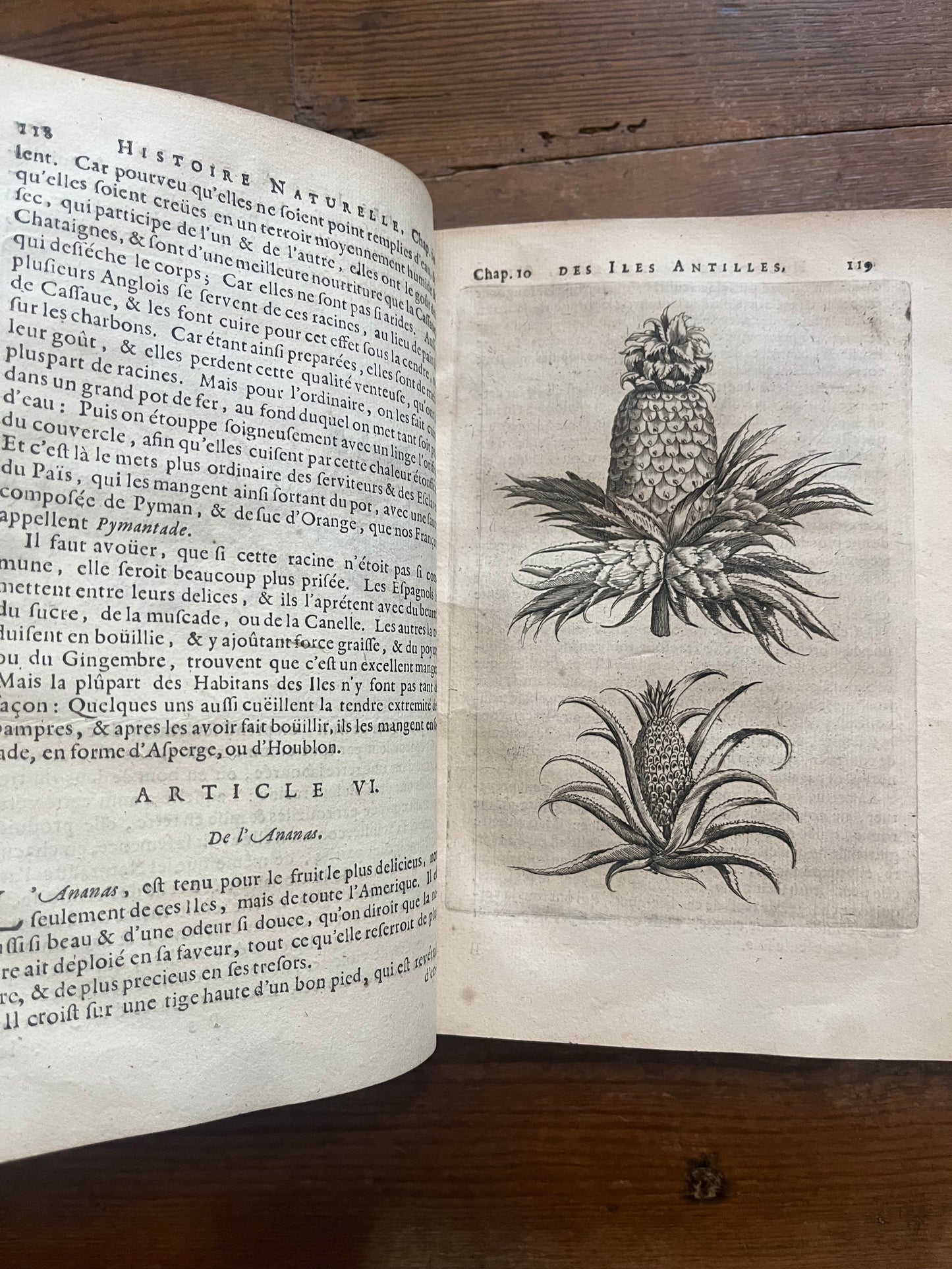 L’Histoire Naturelle et Morale Des Iles Antilles D’Amerique - 1717