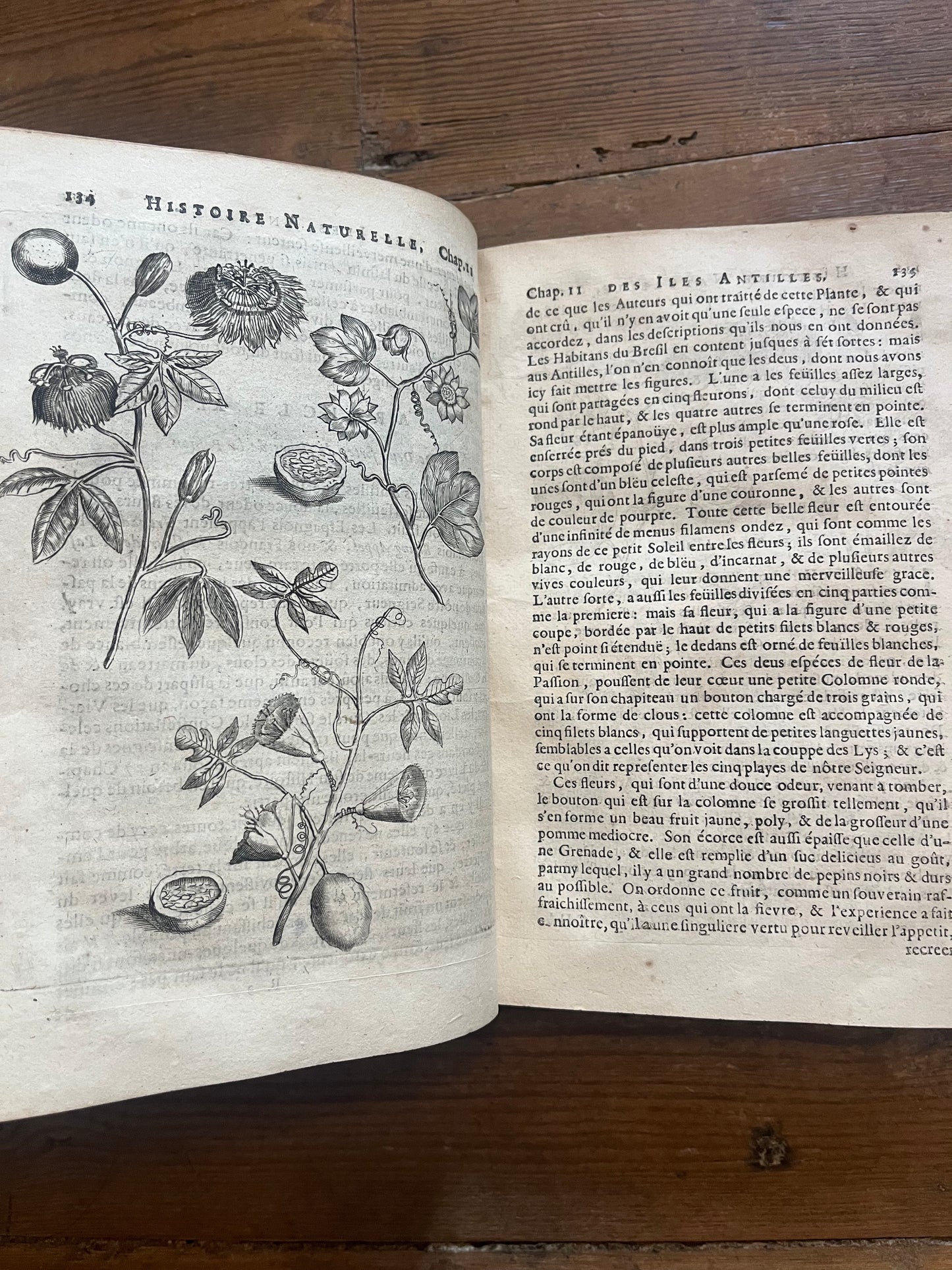 L’Histoire Naturelle et Morale Des Iles Antilles D’Amerique - 1717