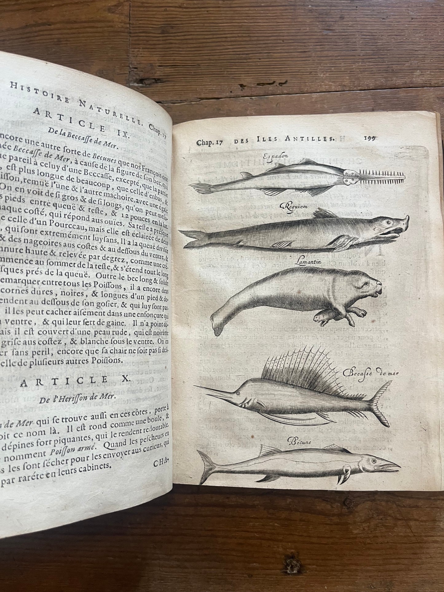 L’Histoire Naturelle et Morale Des Iles Antilles D’Amerique - 1717