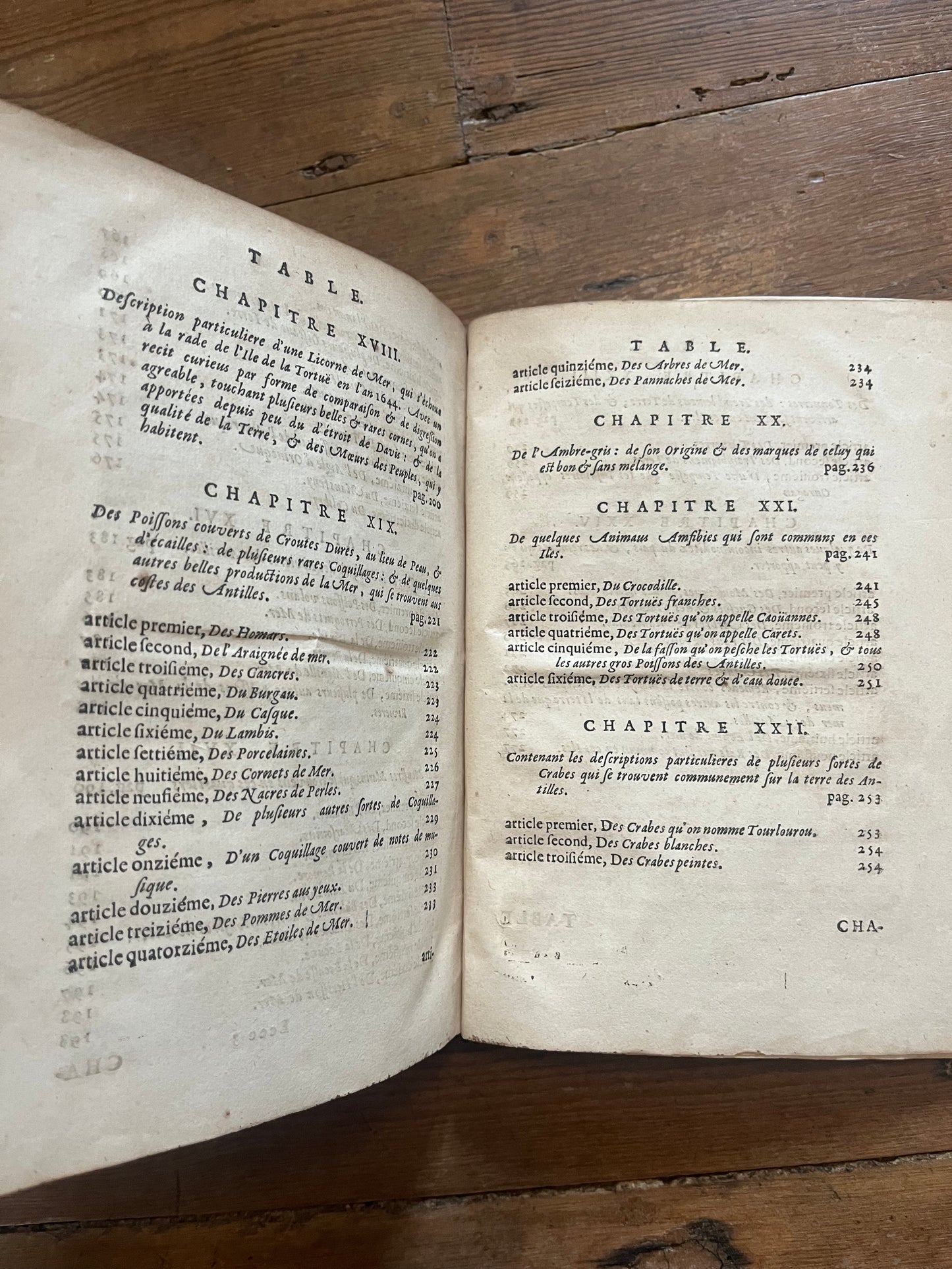 L’Histoire Naturelle et Morale Des Iles Antilles D’Amerique - 1717