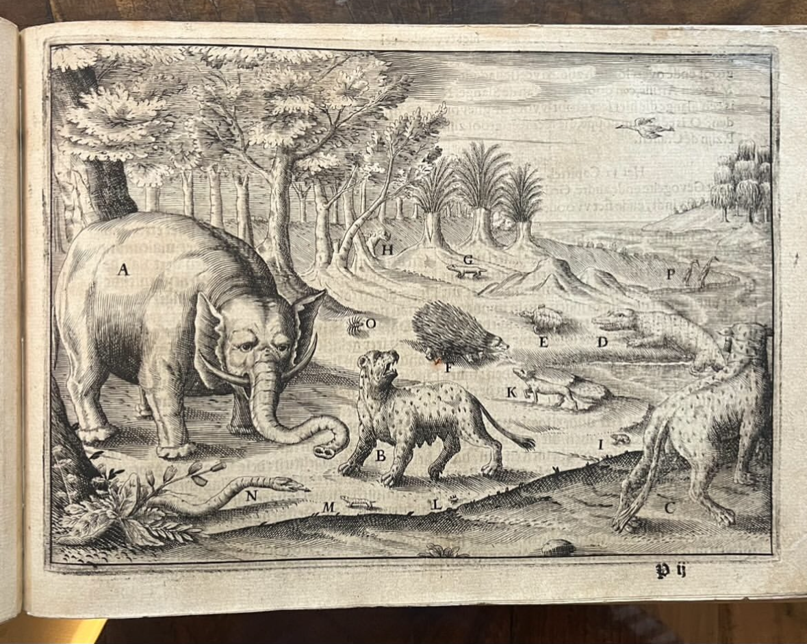 Pieter de Marees's Beschrijvinghe ende Historische verhael vant Gout koninckrijck van Guinea - Rare 1617 Colijn Dutch Edition - Oblong Octavo