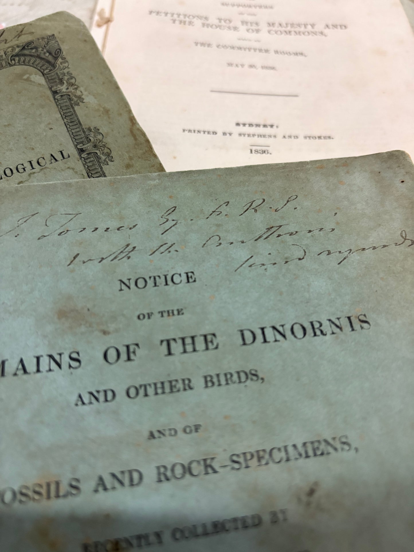 One of the Eariest works on the Moa - Dedication copy by Gideon Mantell to John Tomes - "Notice of the remains of the Dinornis and other Birds" - 1850