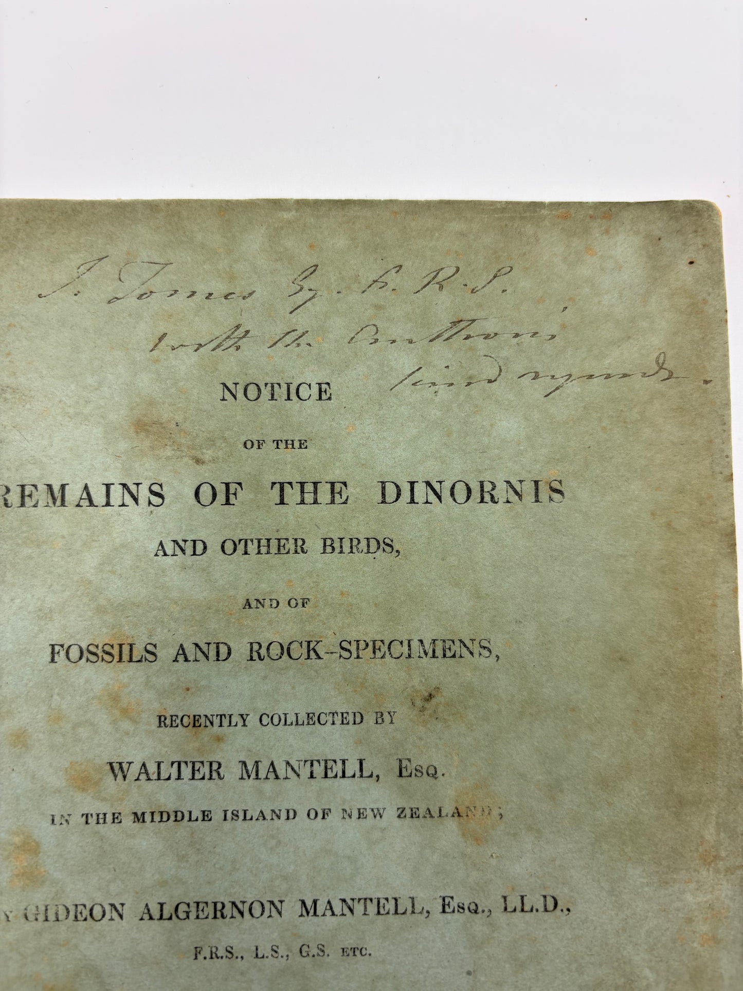 One of the Eariest works on the Moa - Dedication copy by Gideon Mantell to John Tomes - "Notice of the remains of the Dinornis and other Birds" - 1850