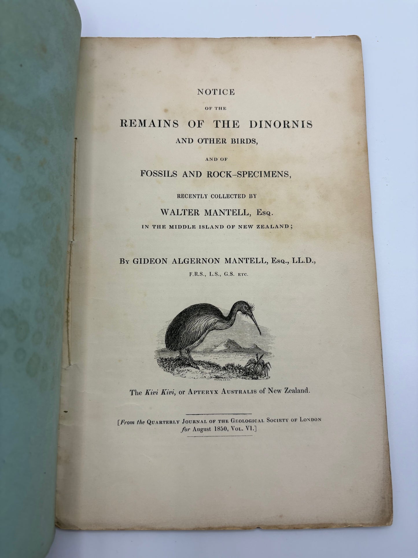 One of the Eariest works on the Moa - Dedication copy by Gideon Mantell to John Tomes - "Notice of the remains of the Dinornis and other Birds" - 1850